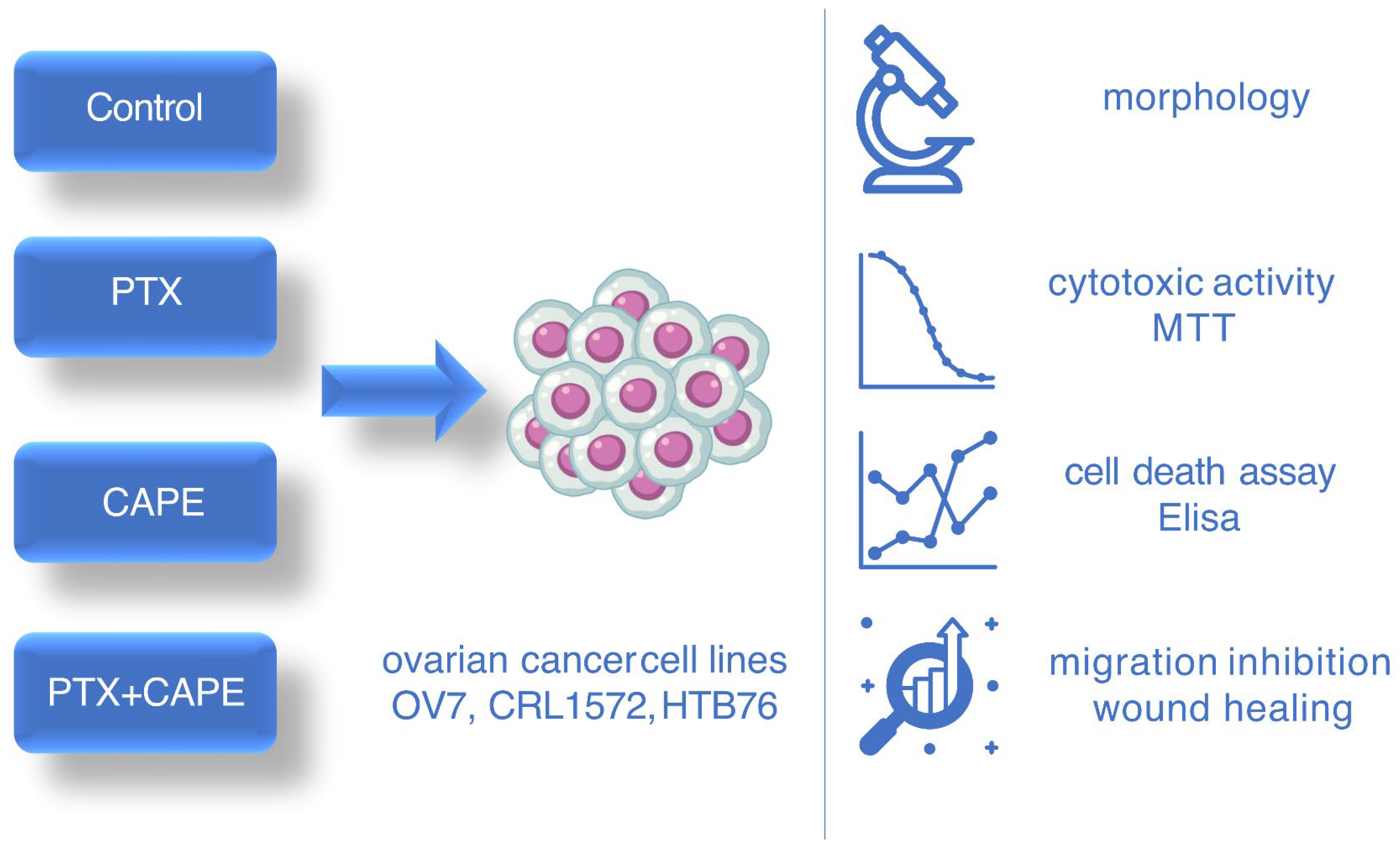 Molecules 28 05813 g014