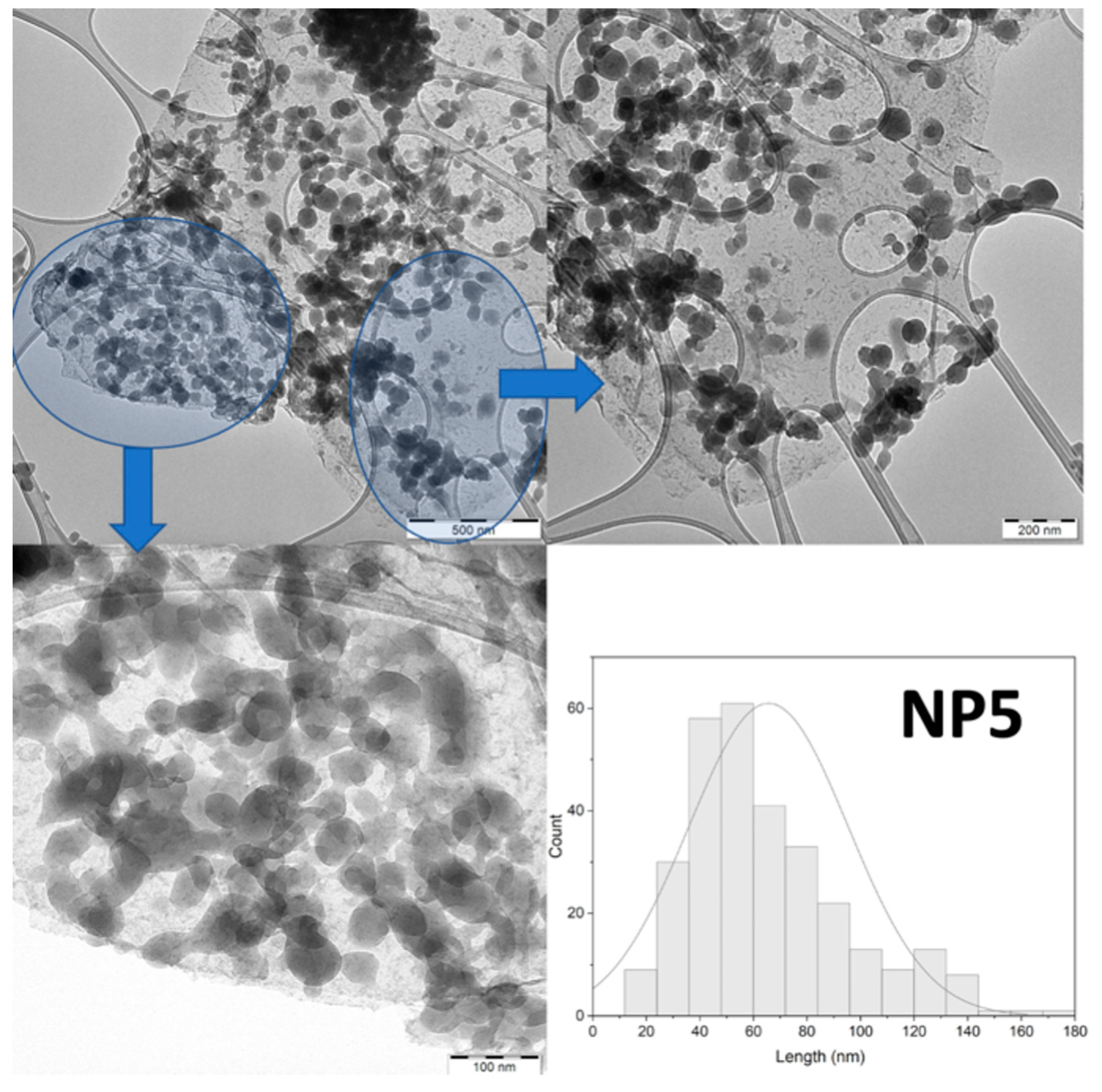 Molecules 28 05816 g001