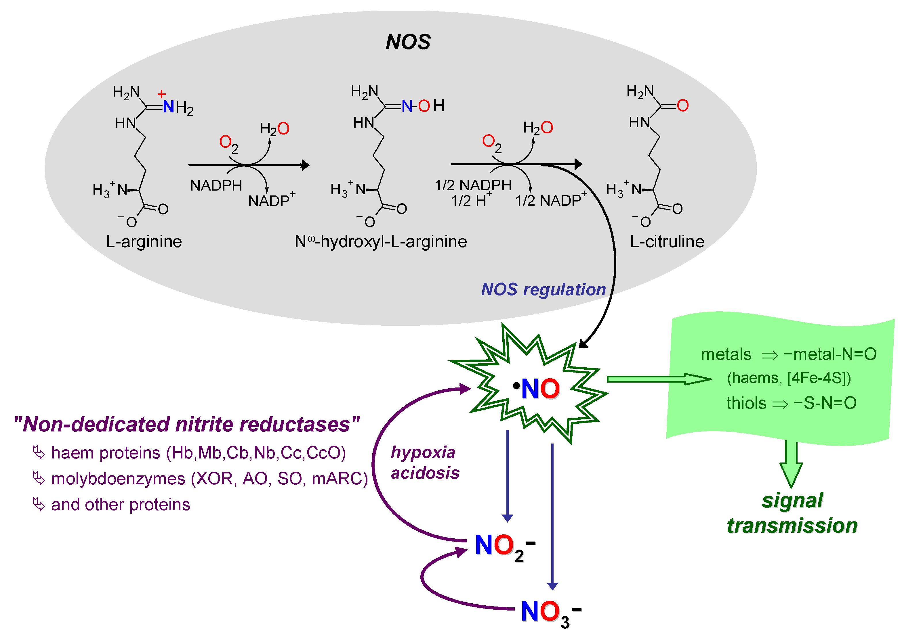 Molecules 28 05819 g004 Molecules 28 05819 g004