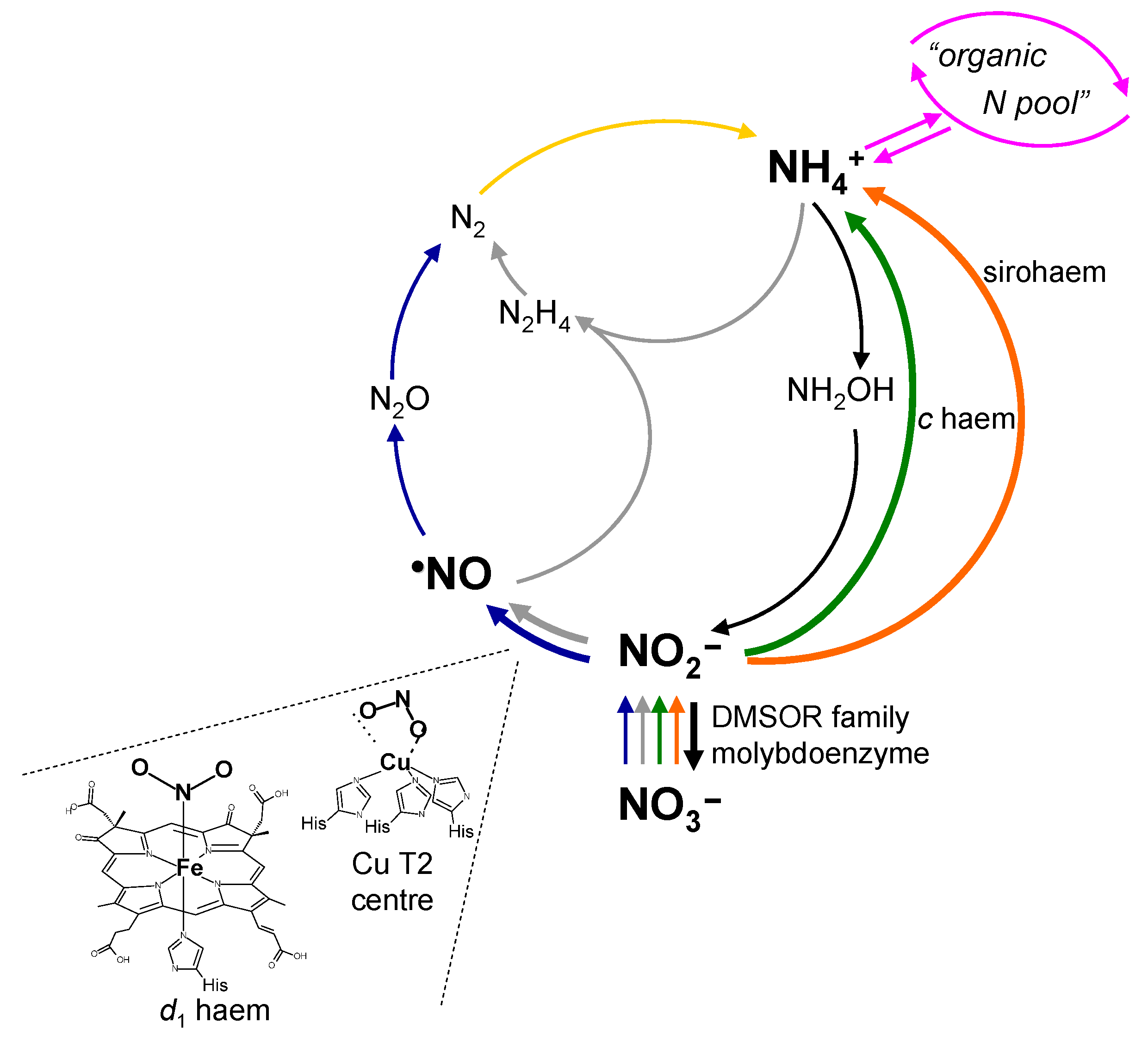Molecules 28 05819 g005 Molecules 28 05819 g005