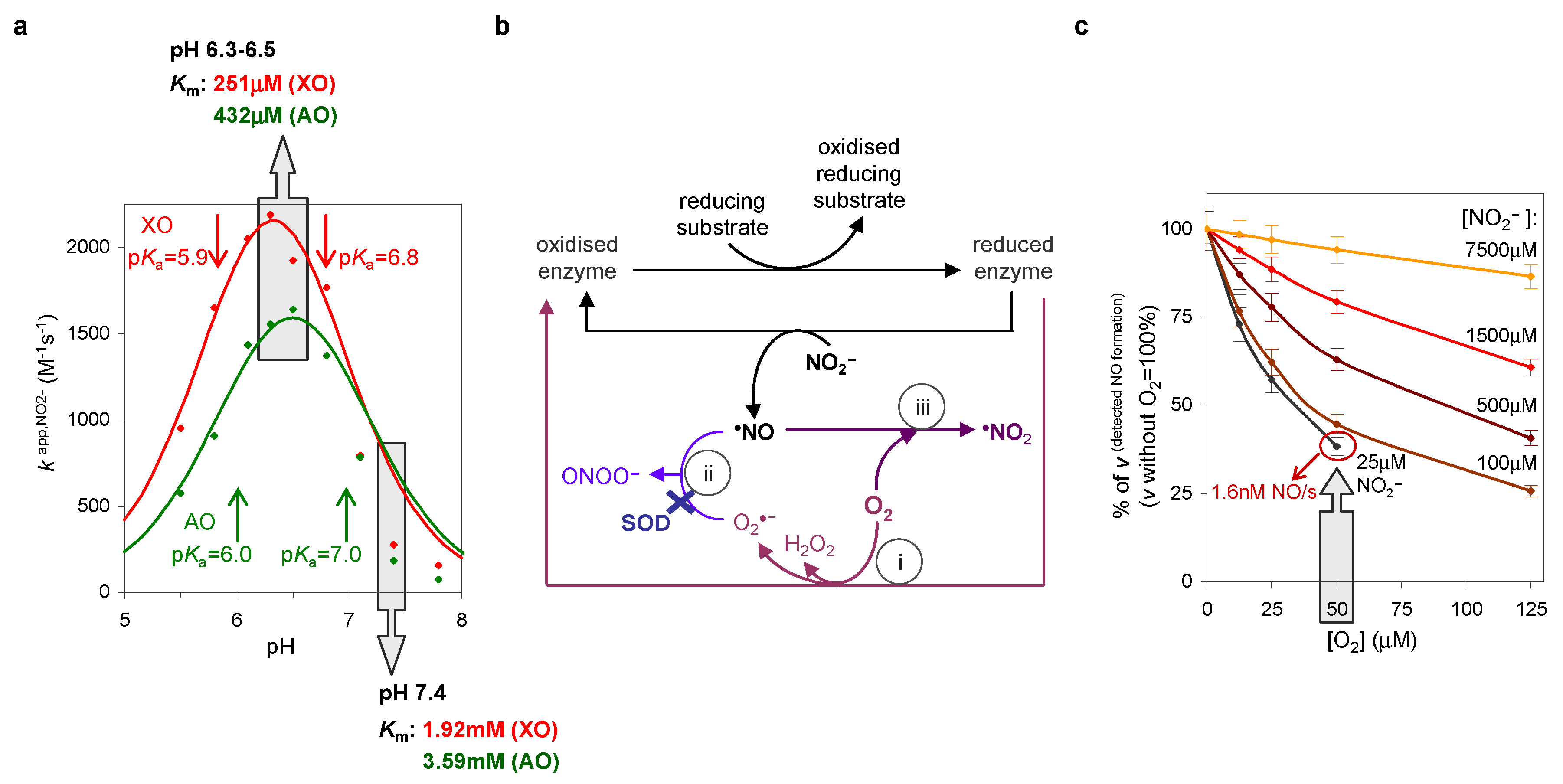 Molecules 28 05819 g007 Molecules 28 05819 g007