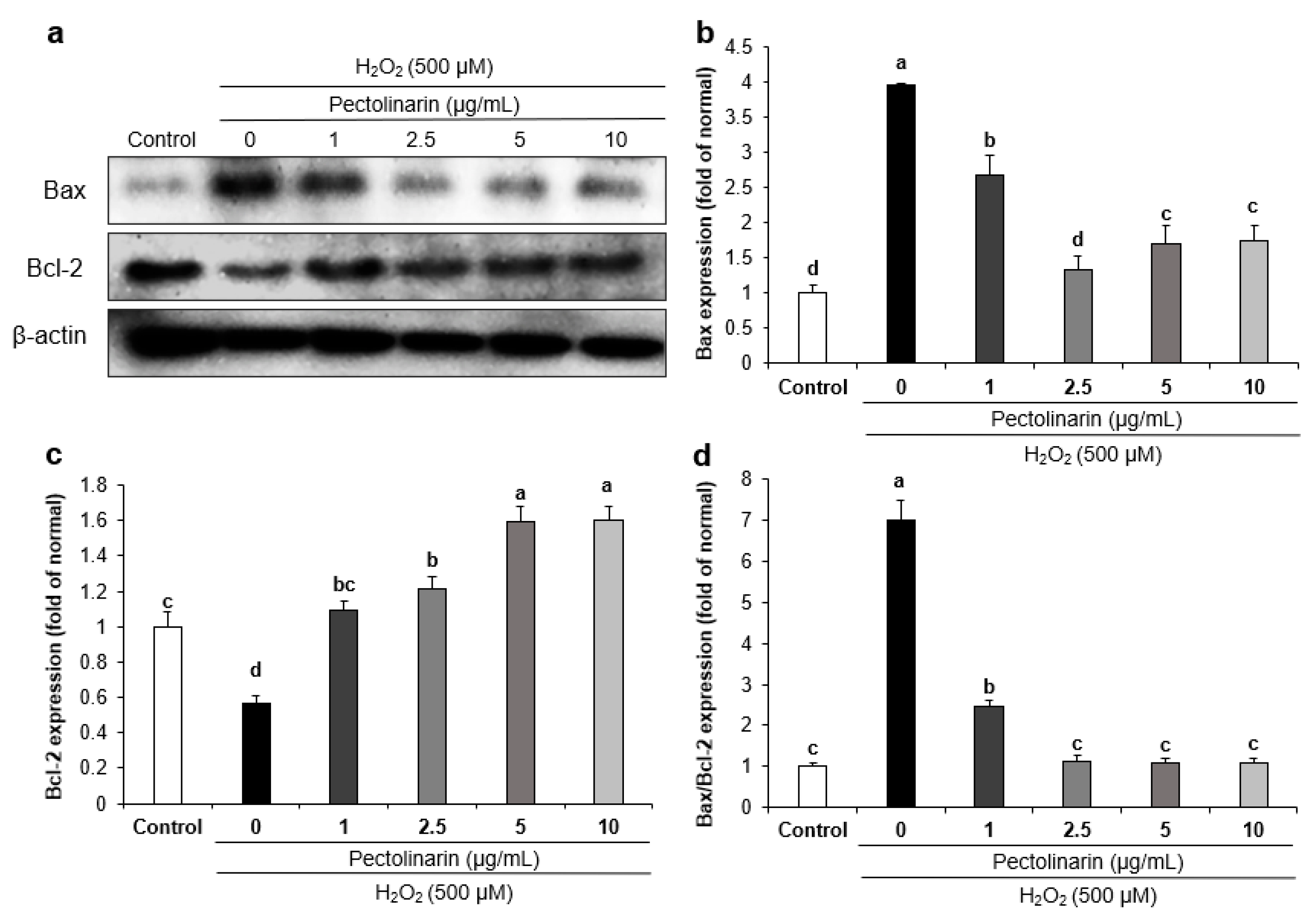 Molecules 28 05826 g004 Molecules 28 05826 g004