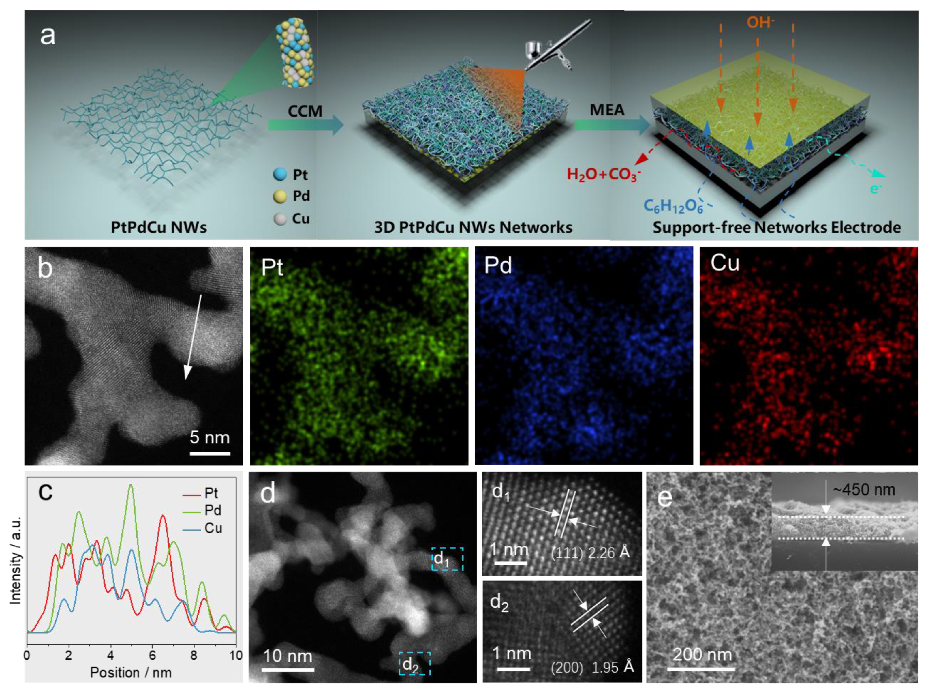 Molecules 28 05834 g001