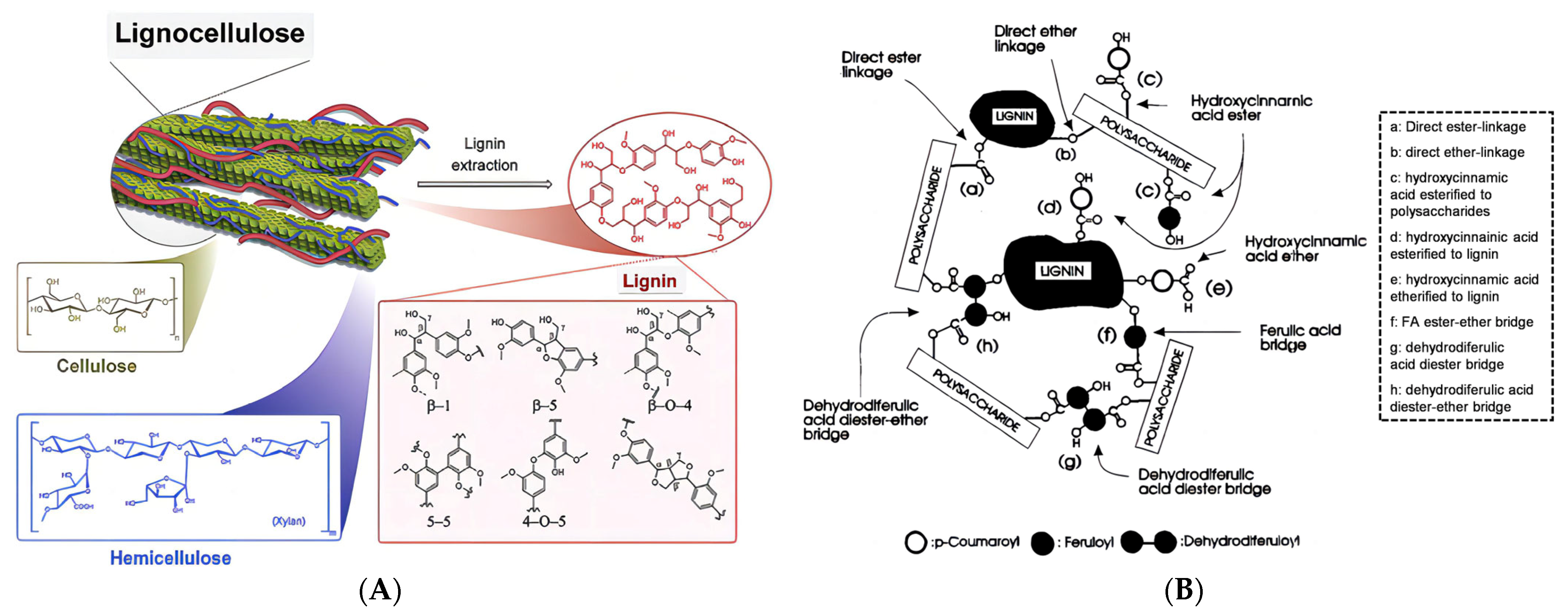 Molecules 28 05836 g003 Molecules 28 05836 g003