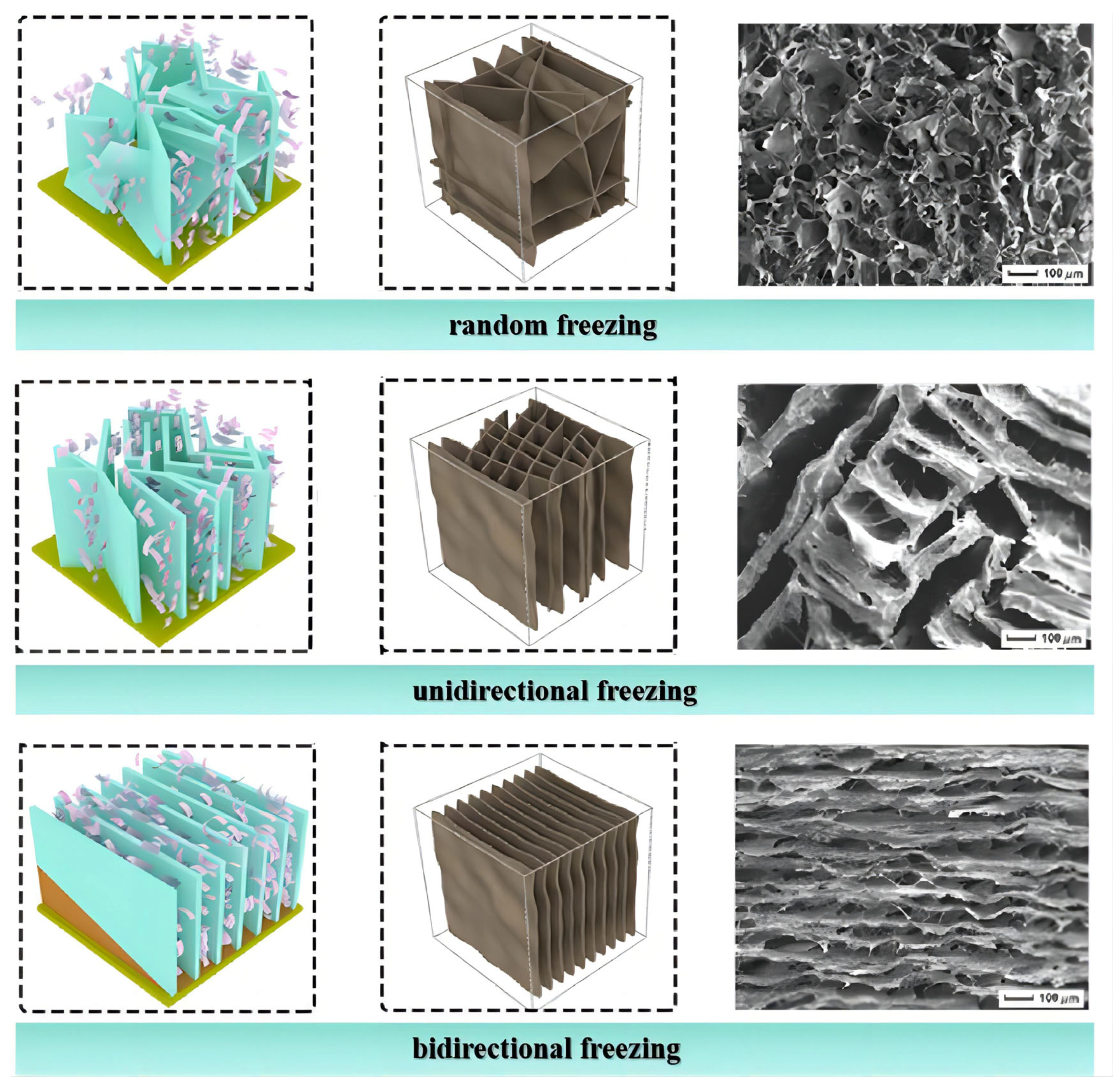 Molecules 28 05836 g005 Molecules 28 05836 g005