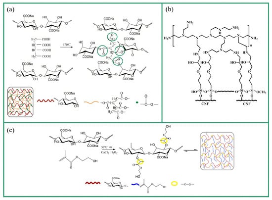 Molecules 28 05836 g006