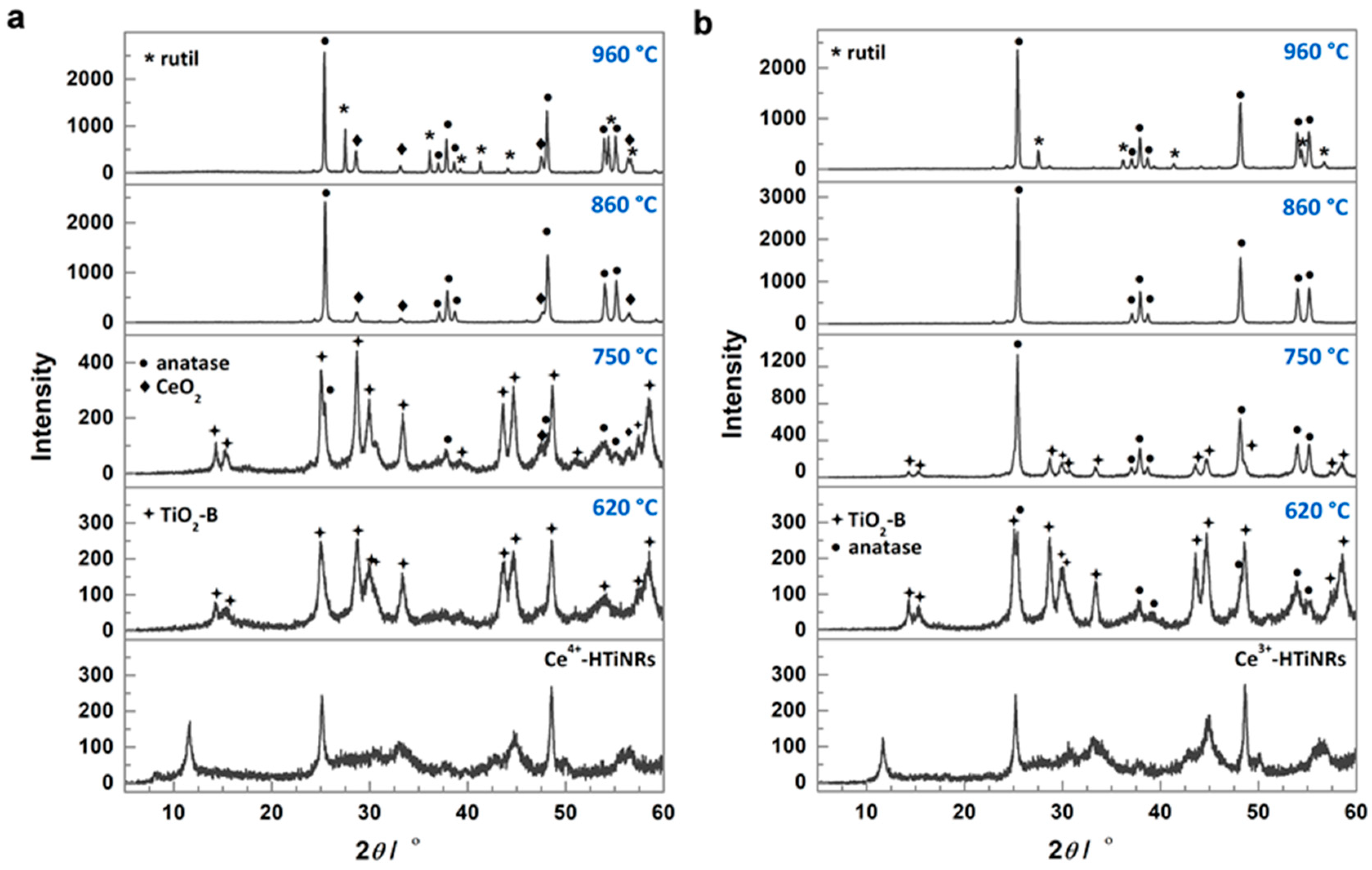 Molecules 28 05838 g001