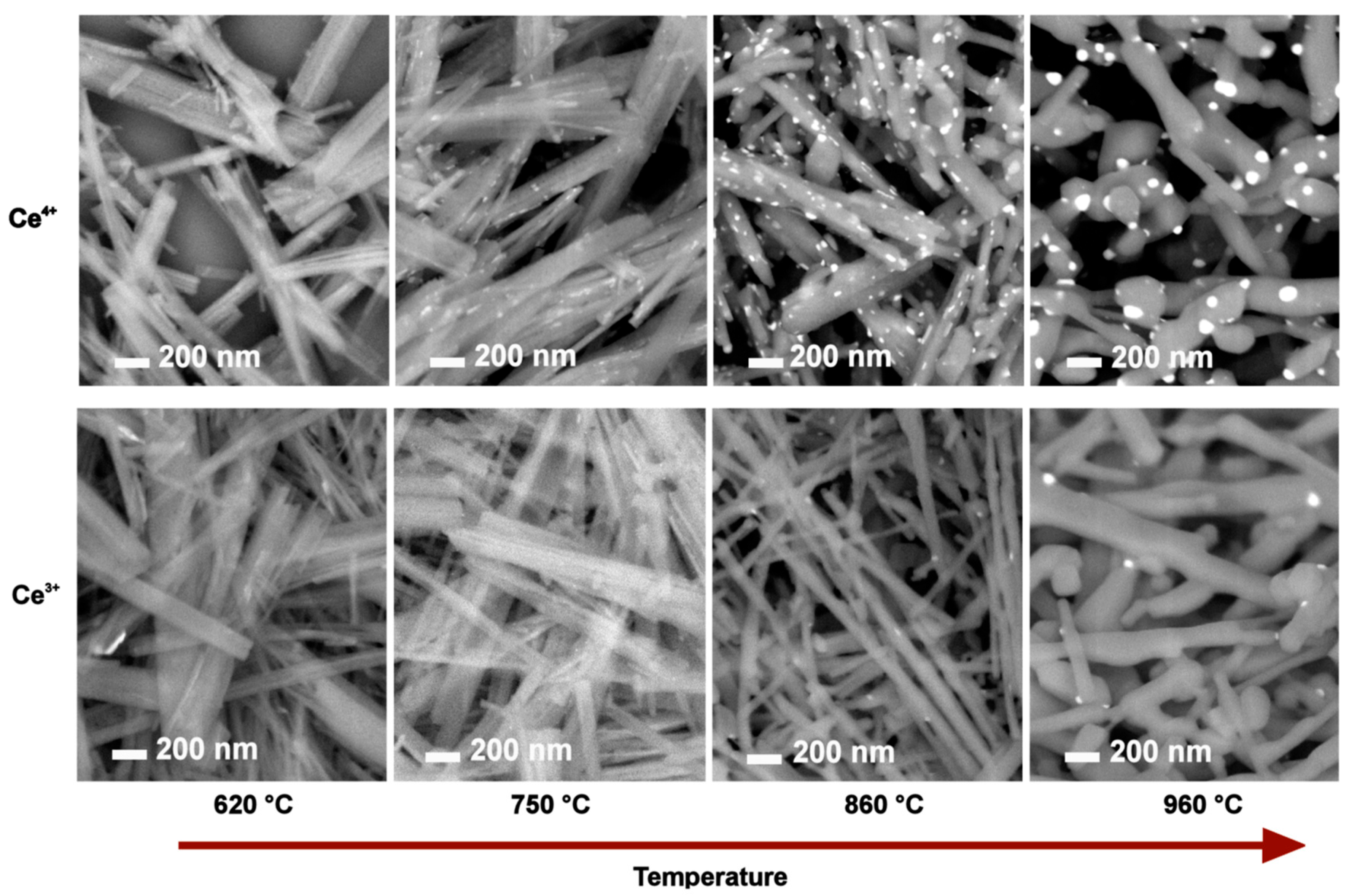Molecules 28 05838 g003