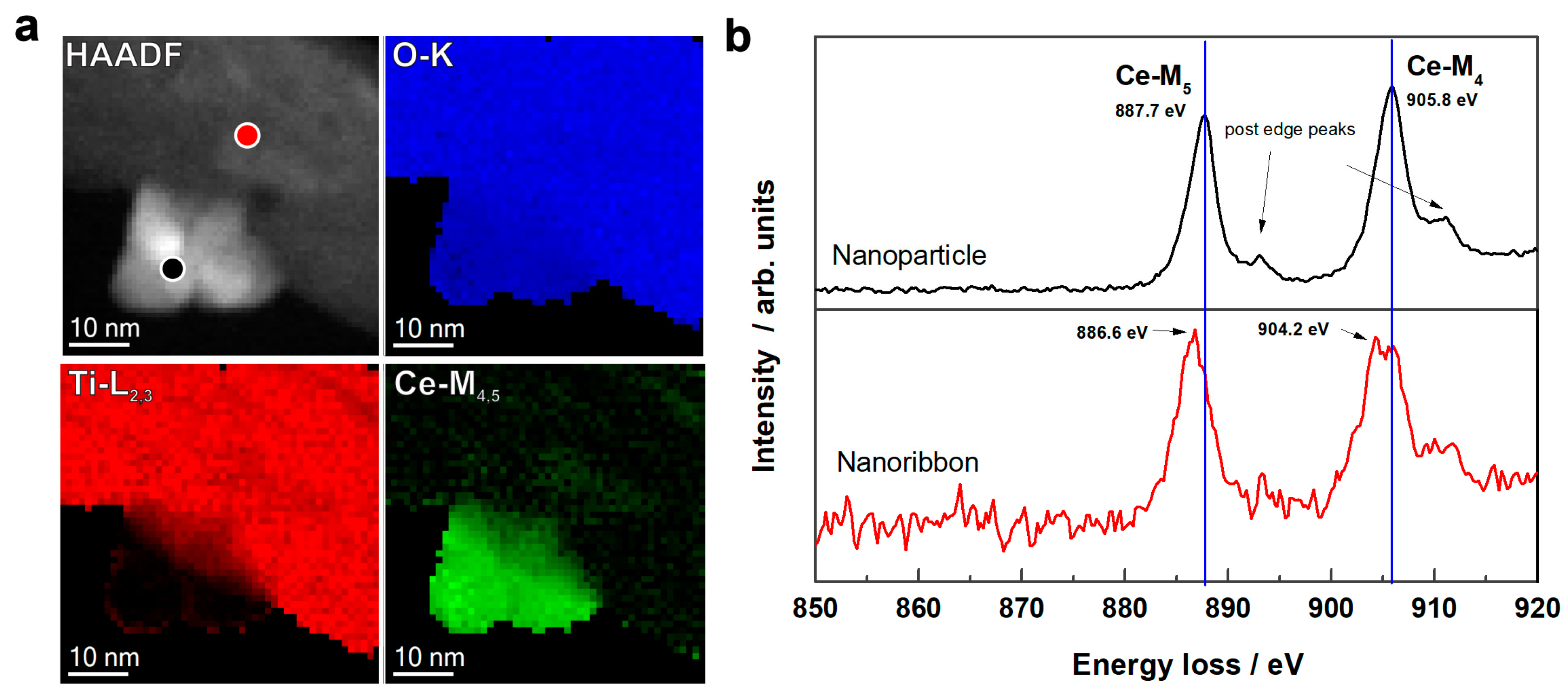 Molecules 28 05838 g004