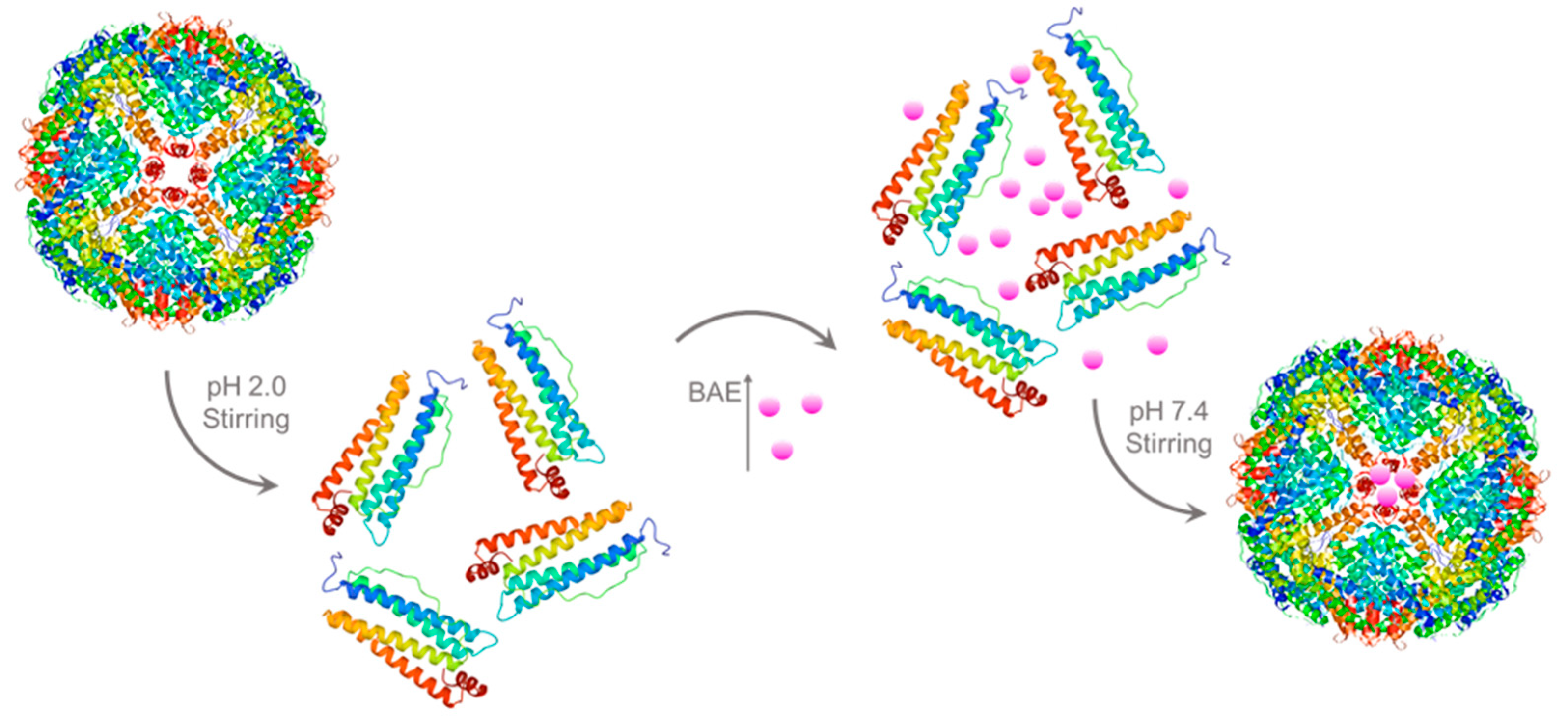 Molecules 28 05844 g006 Molecules 28 05844 g006
