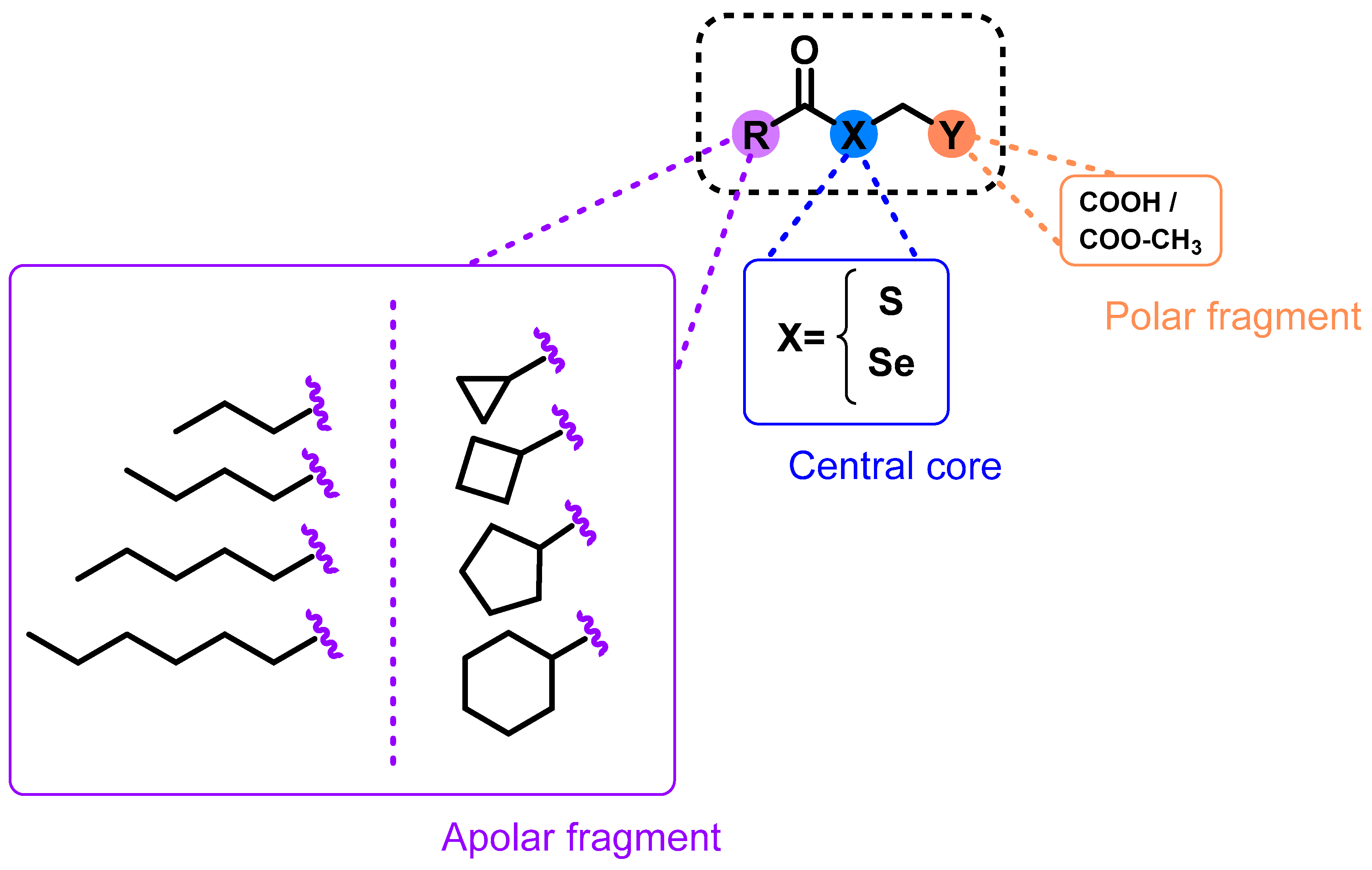 Molecules 28 05845 g001