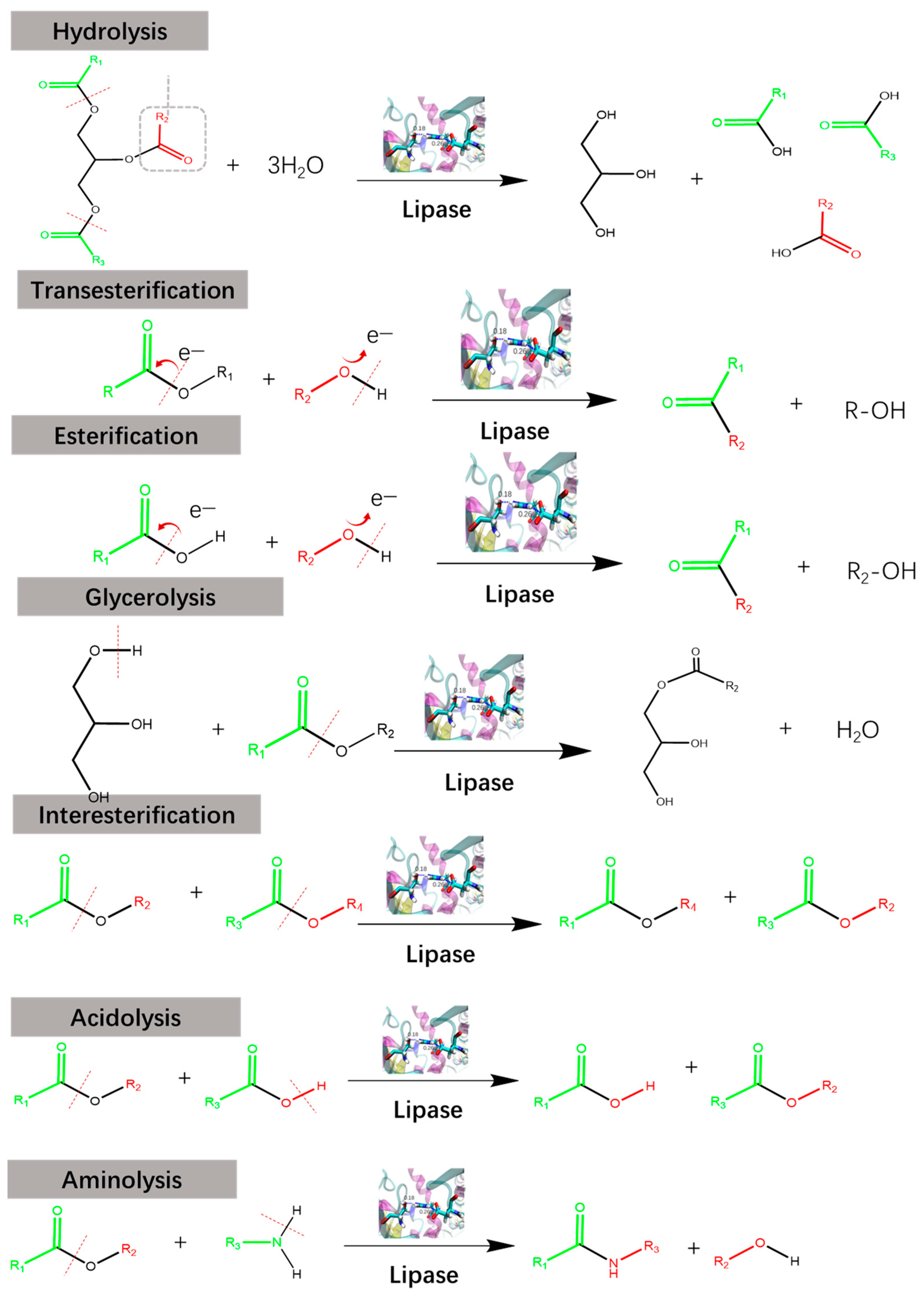 Molecules 28 05848 g001 Molecules 28 05848 g001