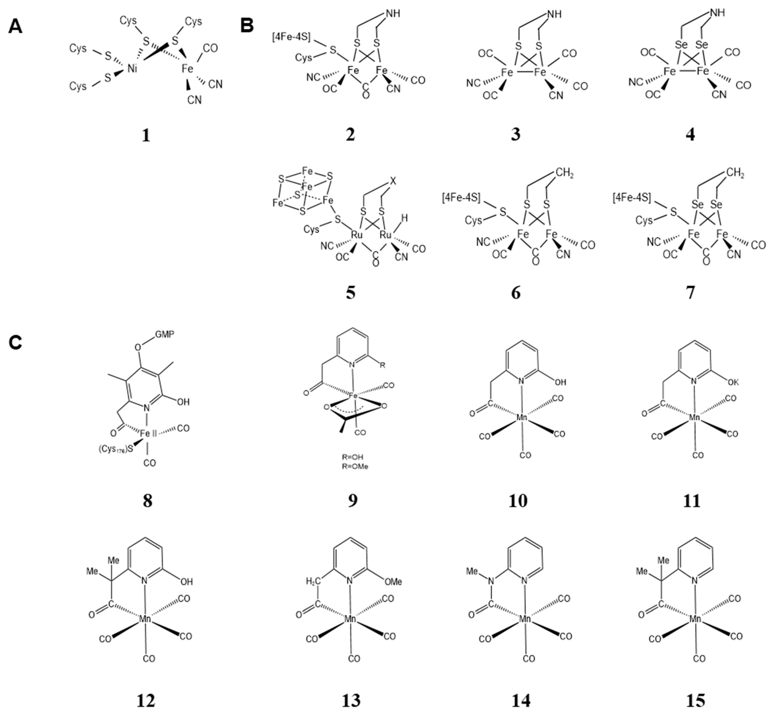 Molecules 28 05850 g001
