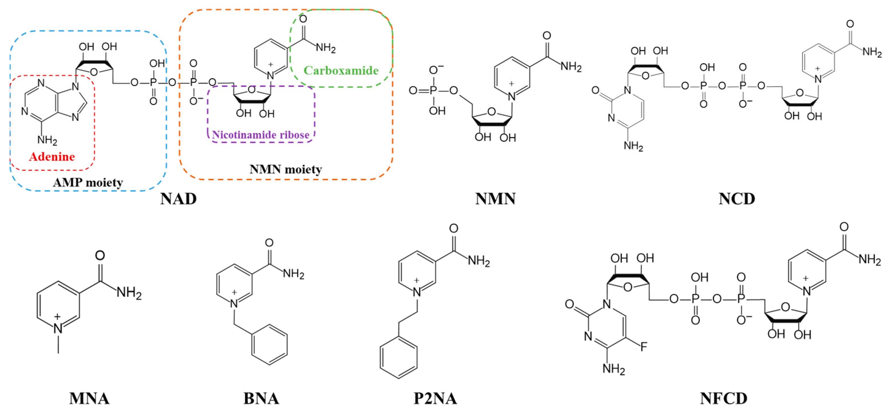 Molecules 28 05850 g003