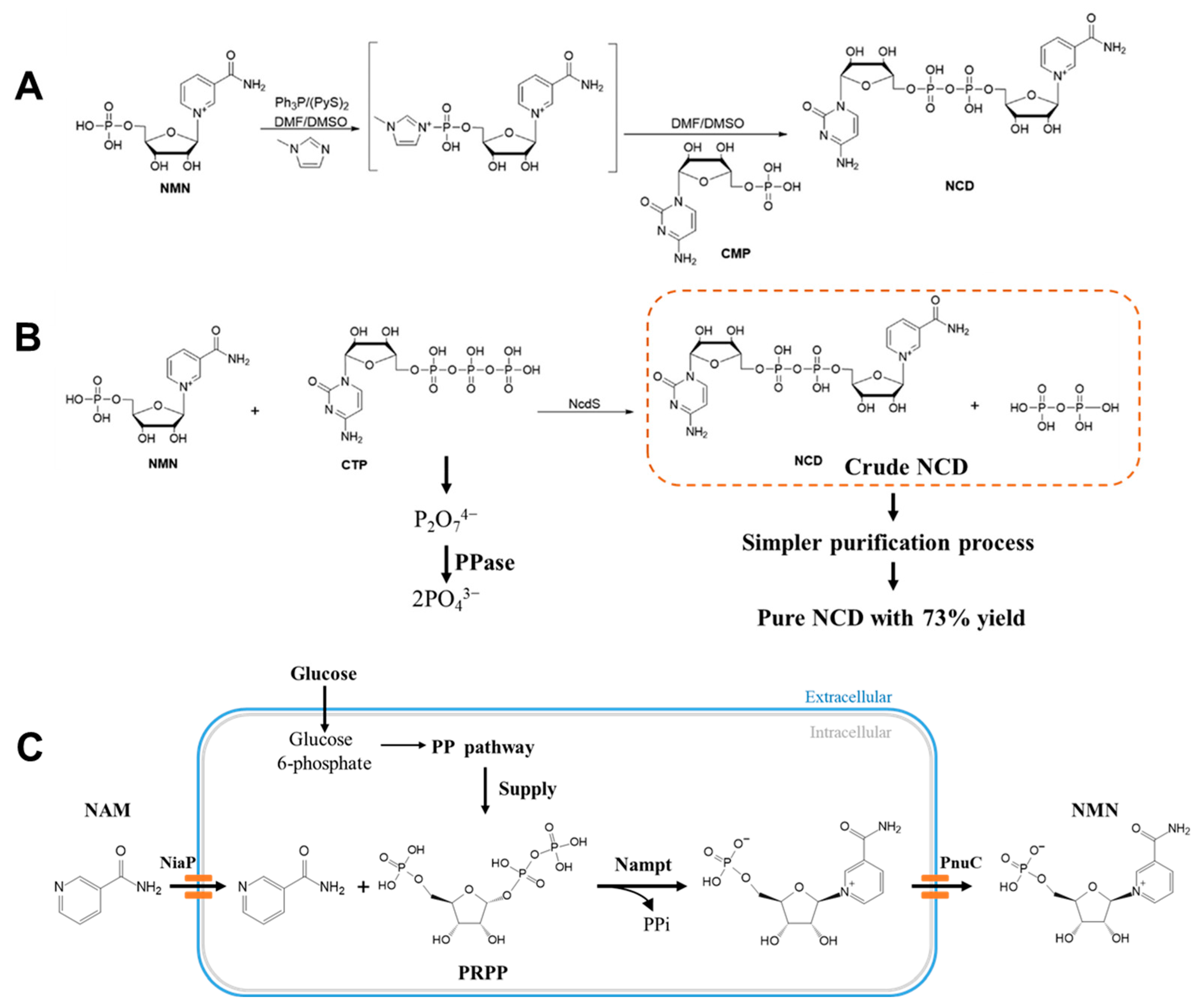 Molecules 28 05850 g004
