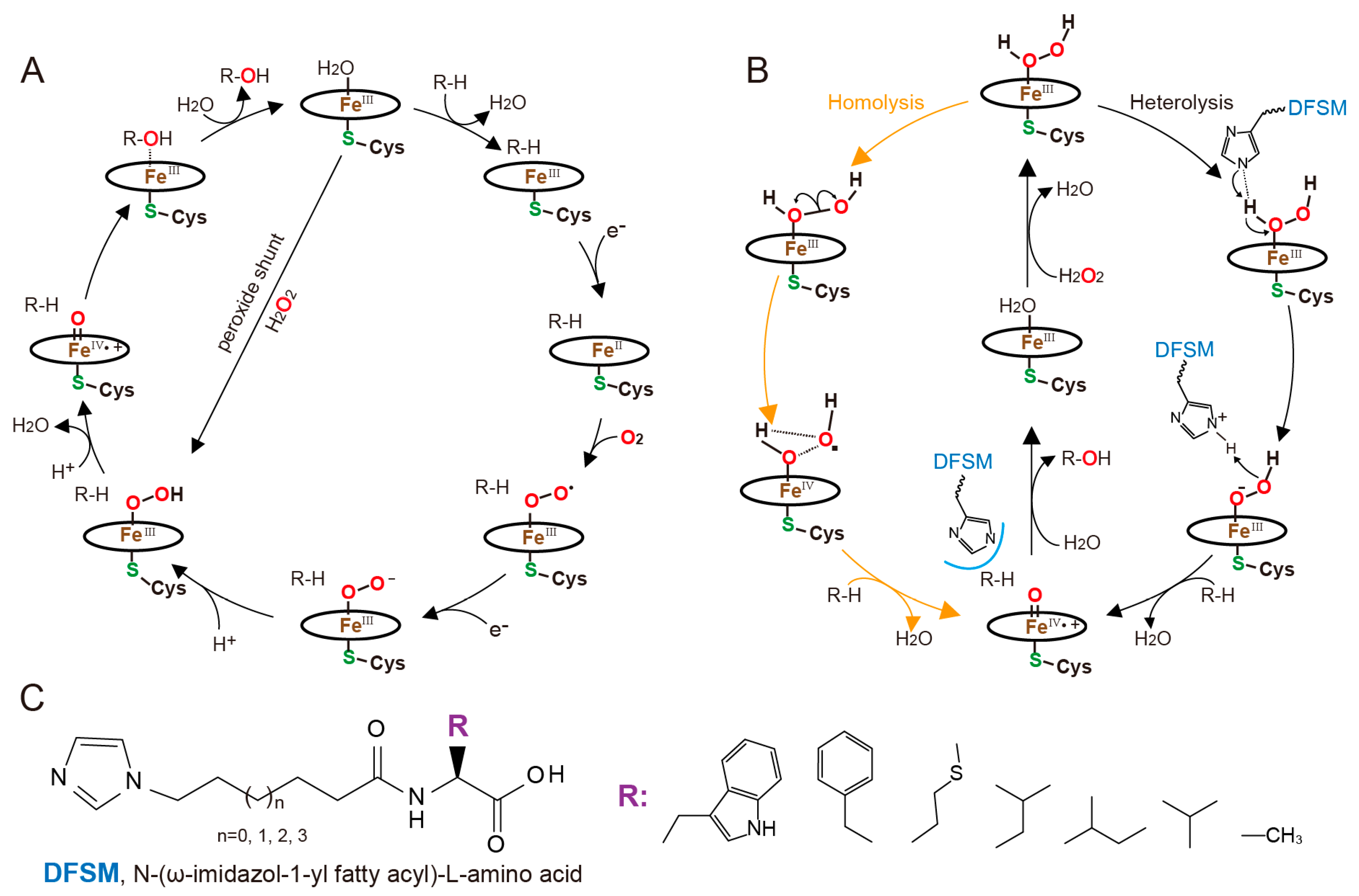 Molecules 28 05850 g007