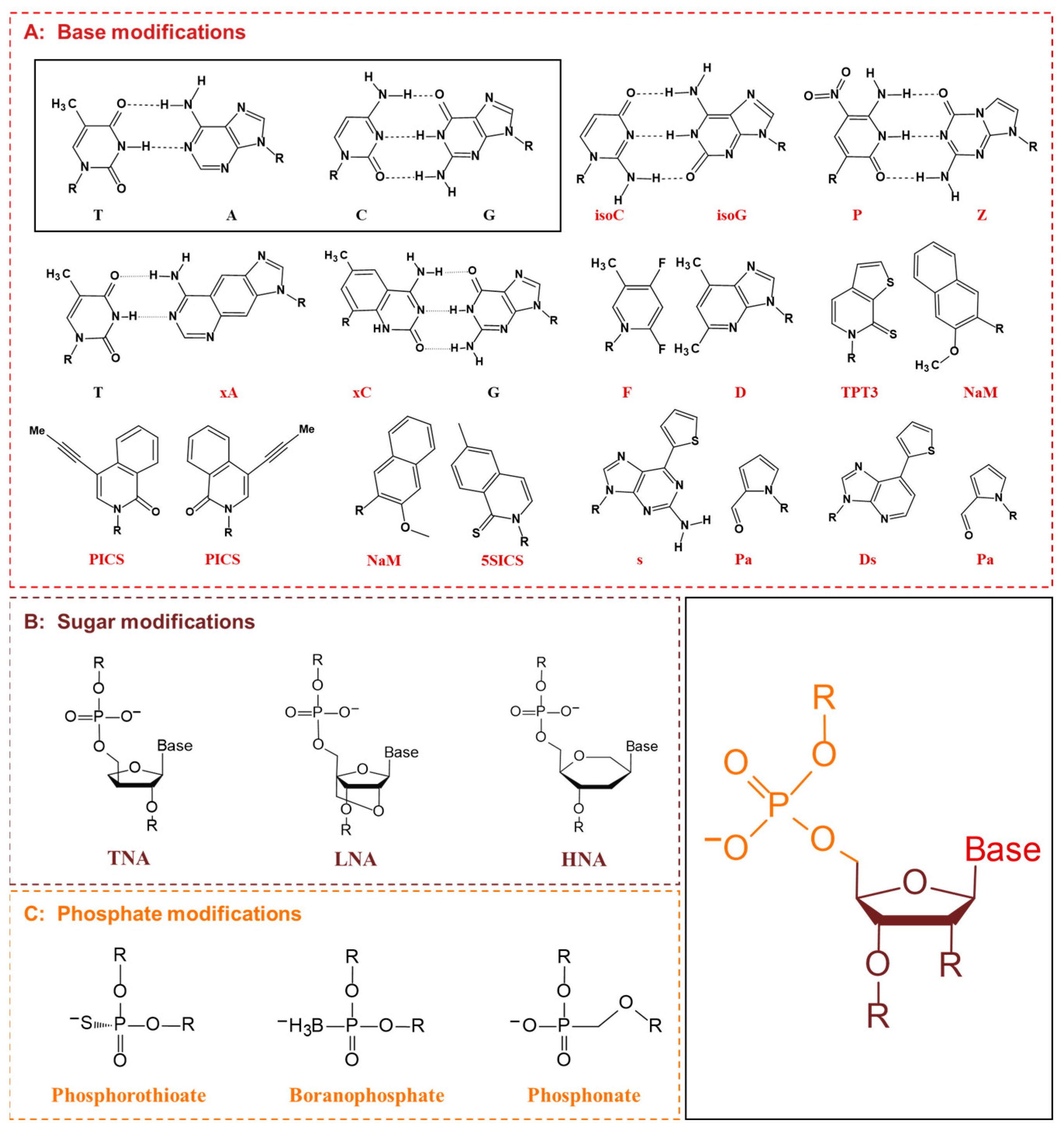 Molecules 28 05850 g008