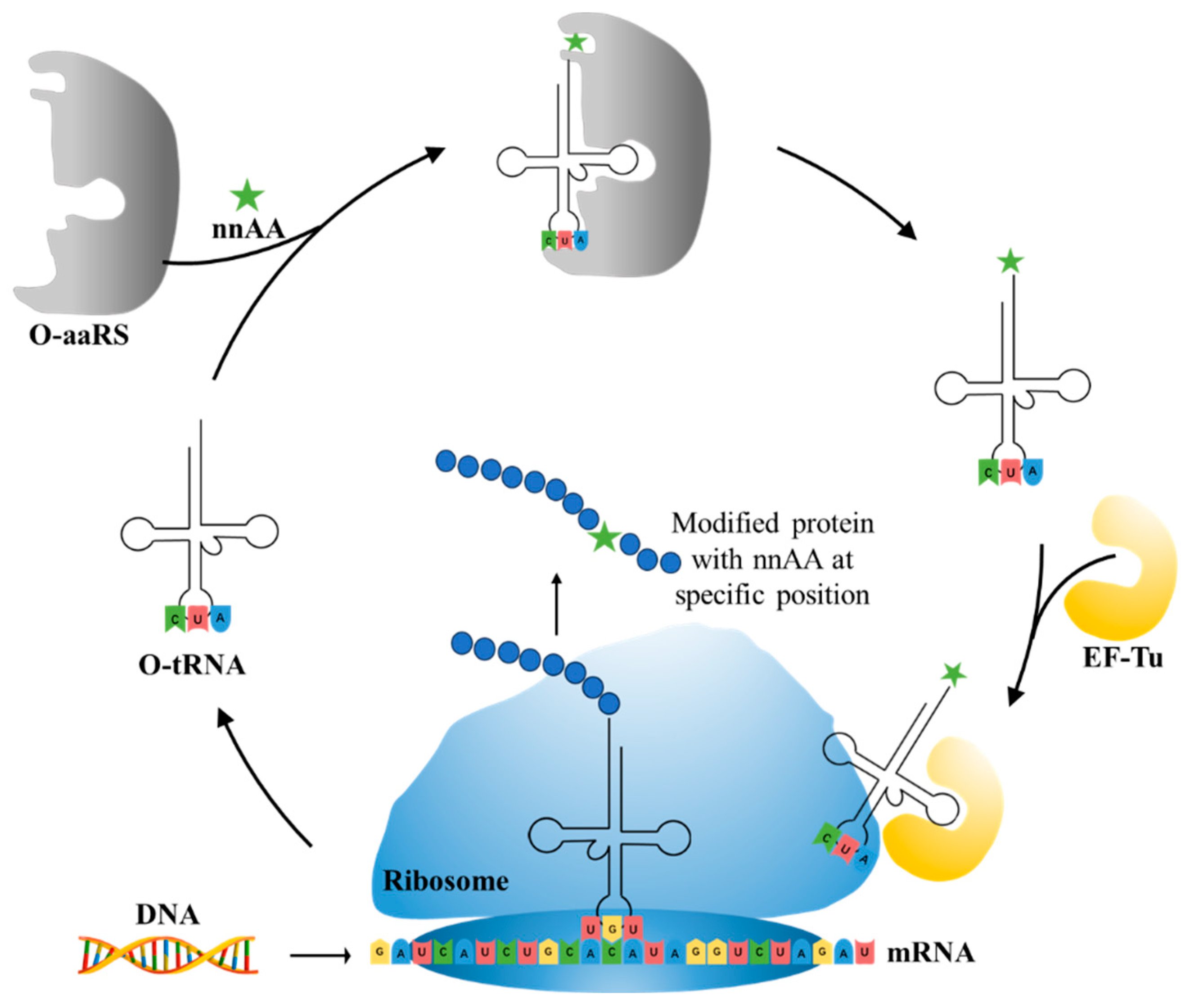 Molecules 28 05850 g009