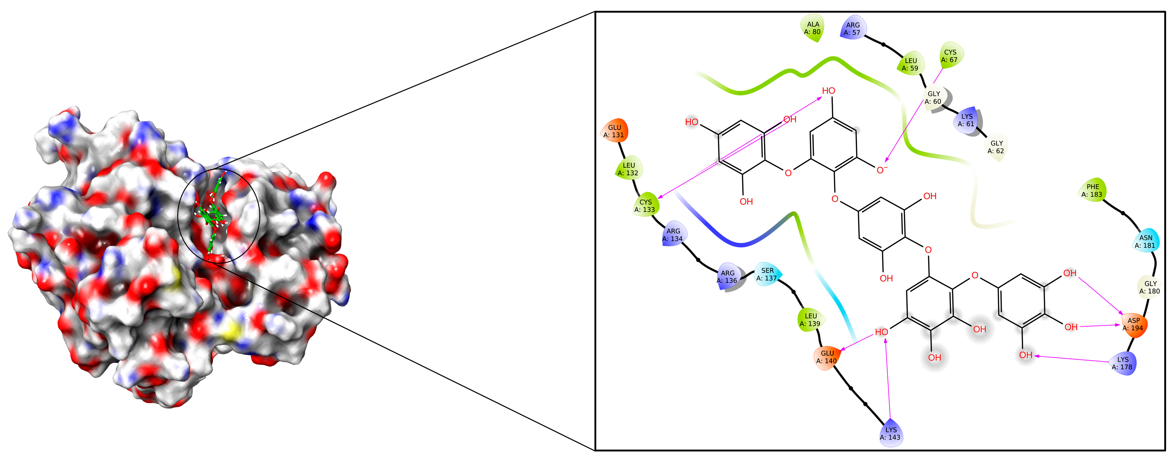 Molecules 28 05853 g005 Molecules 28 05853 g005