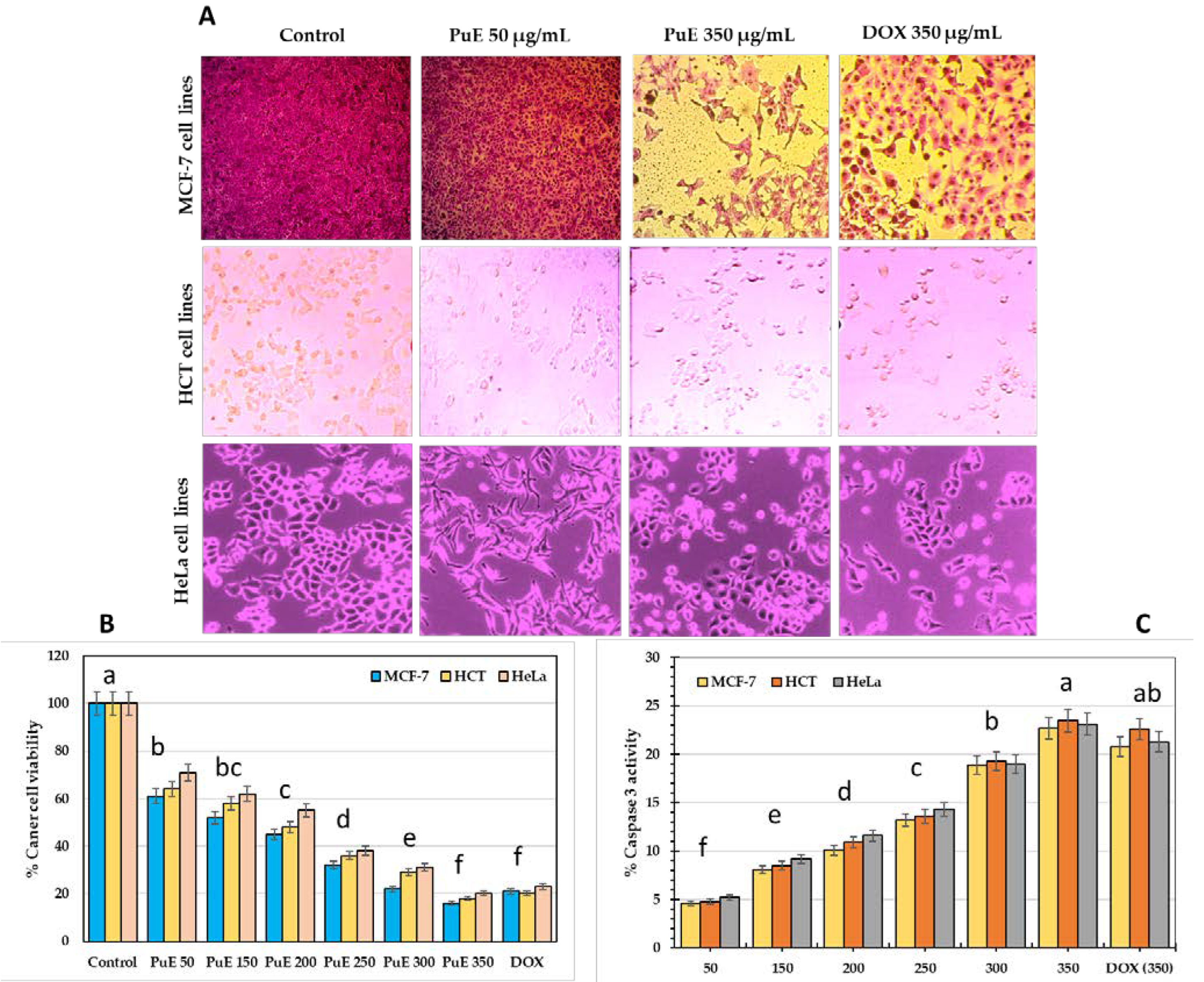 Molecules 28 05859 g002 Molecules 28 05859 g002