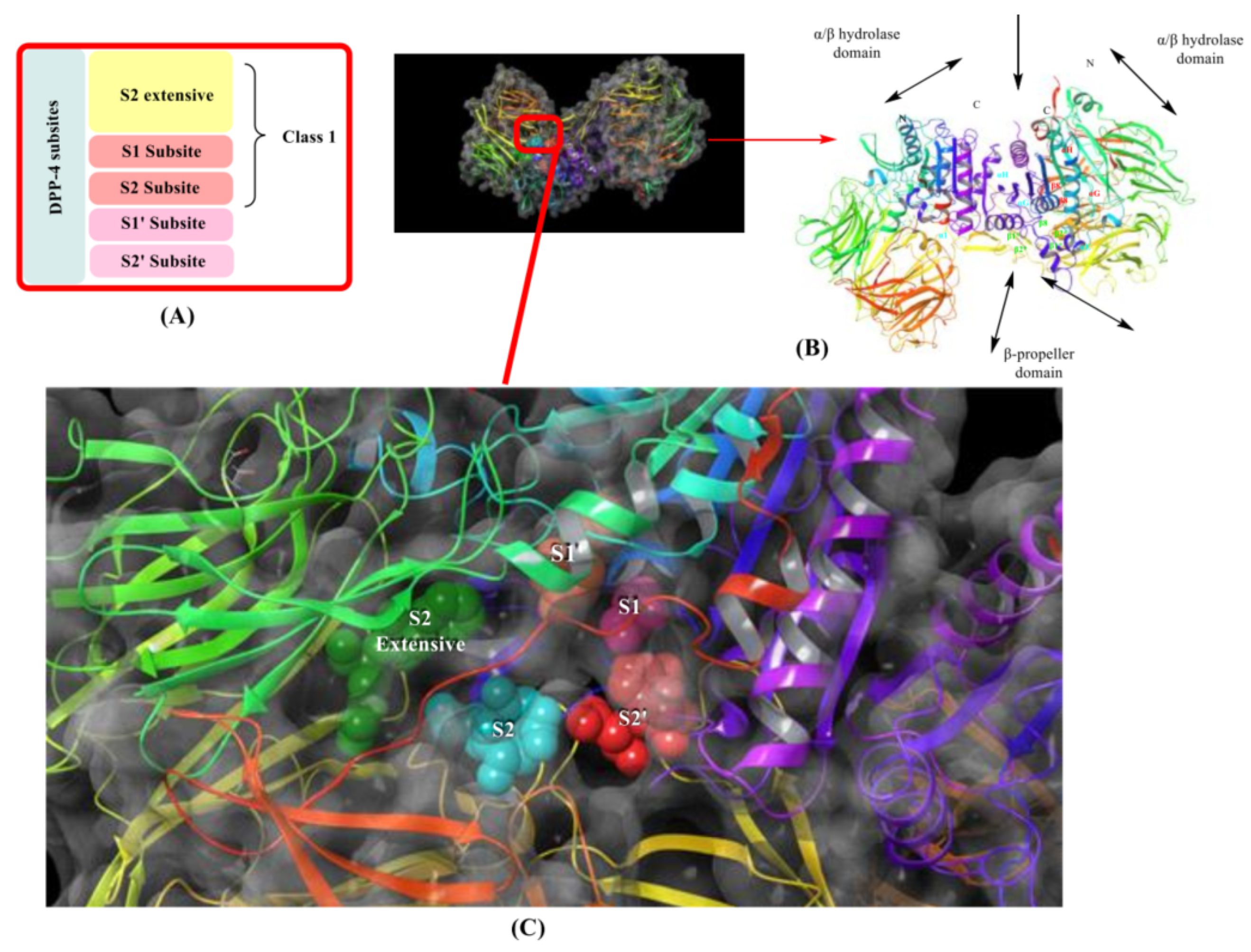 Molecules 28 05860 g003