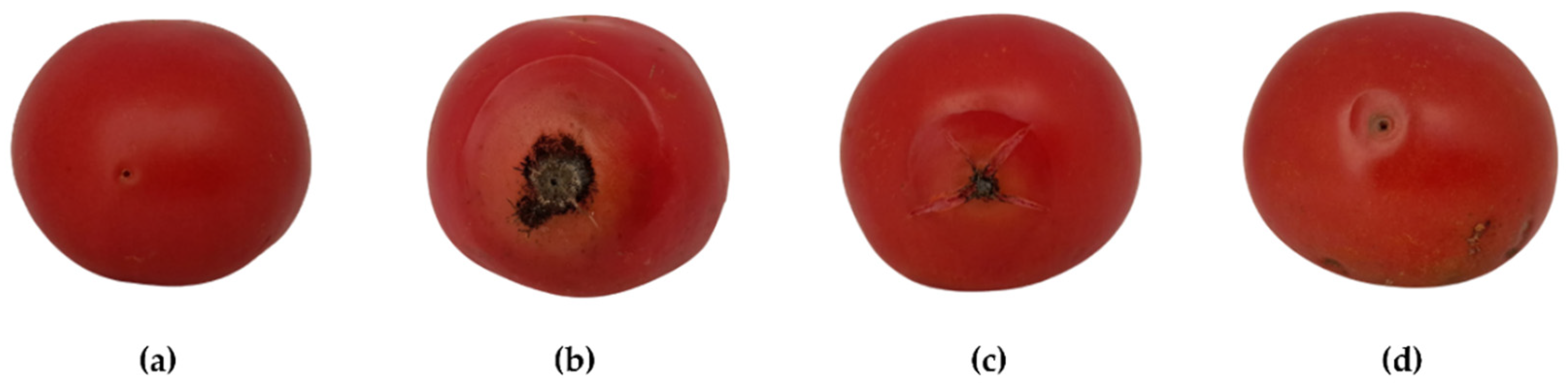 Molecules 28 05861 g003