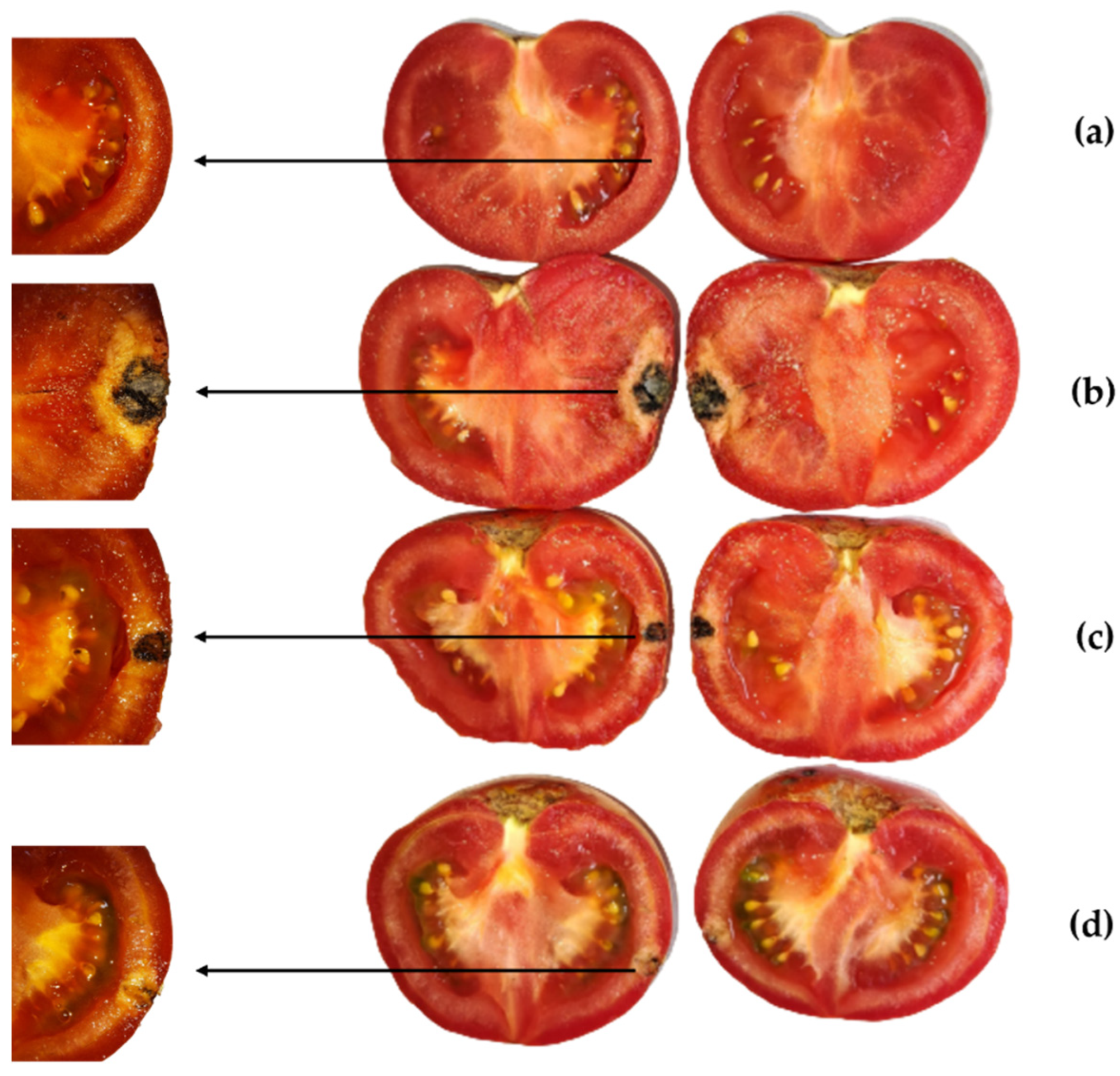 Molecules 28 05861 g004