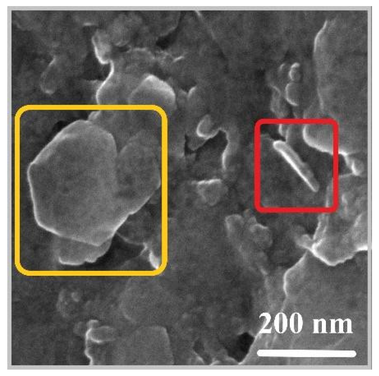 Molecules 28 05863 g005 Molecules 28 05863 g005