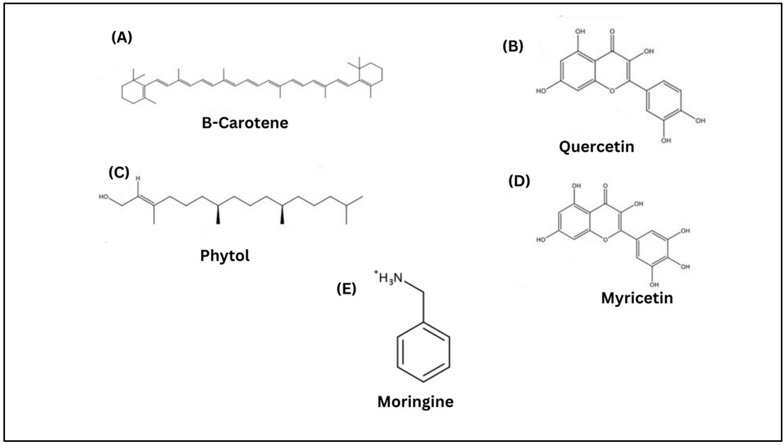 Molecules 28 05867 g002 Molecules 28 05867 g002