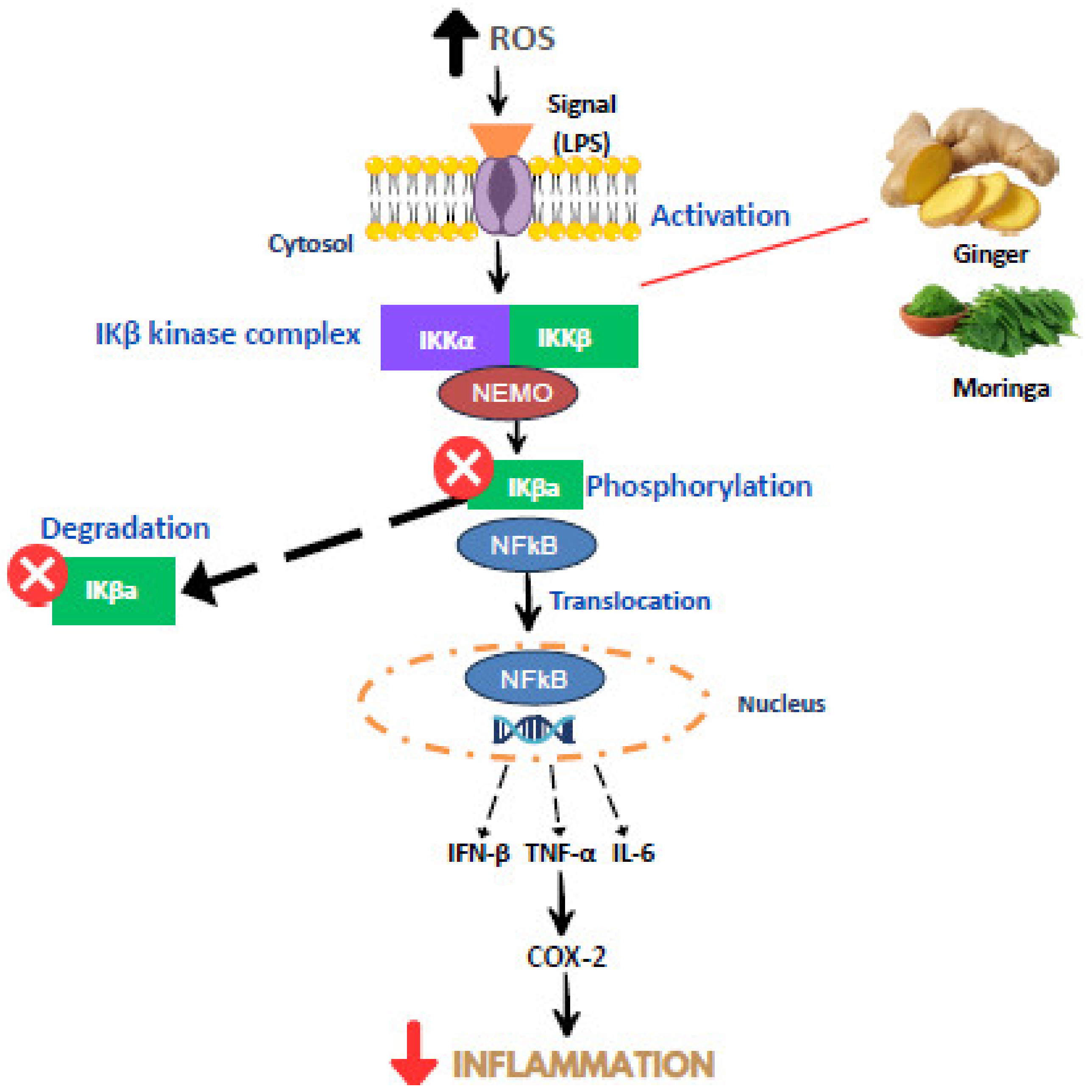 Molecules 28 05867 g004 Molecules 28 05867 g004
