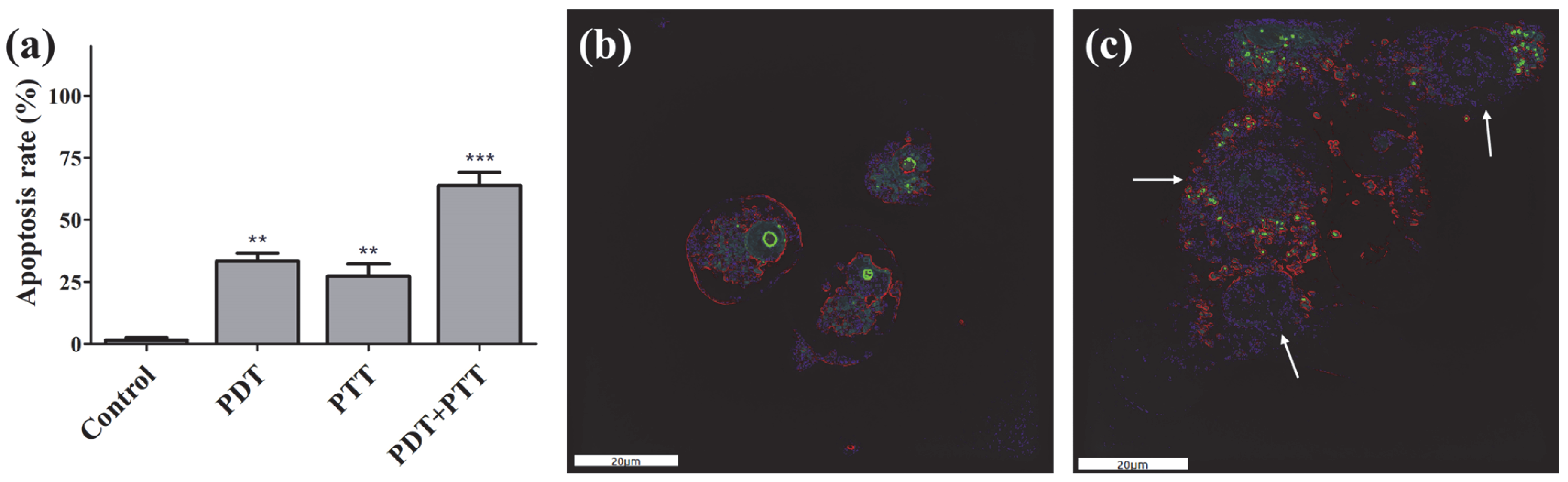Molecules 28 05874 g005 Molecules 28 05874 g005