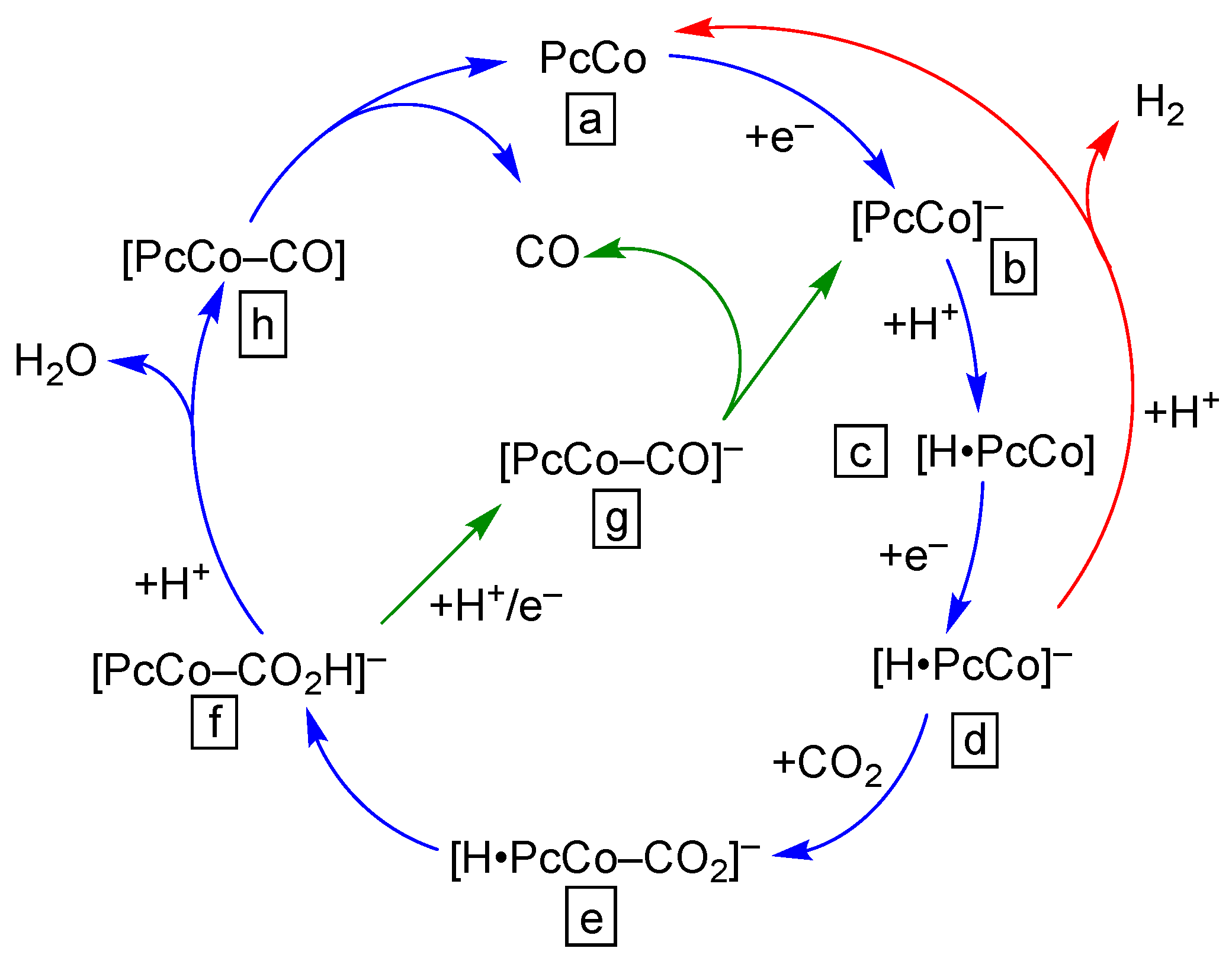 Molecules 28 05878 g004