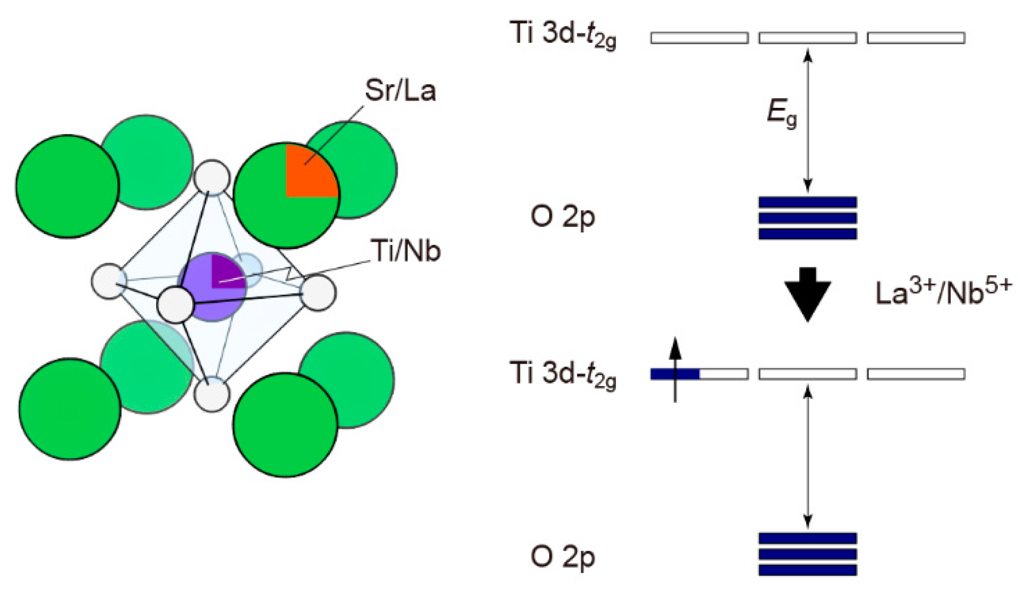 Molecules 28 05894 g007