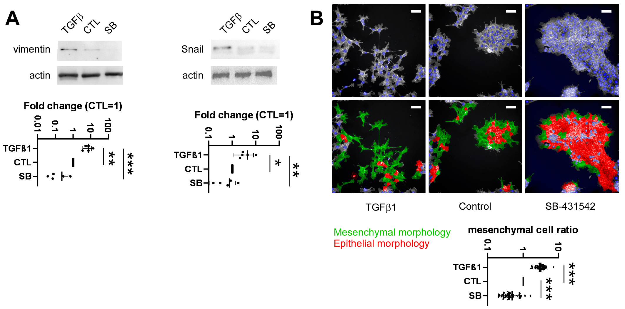 Molecules 28 05898 g003