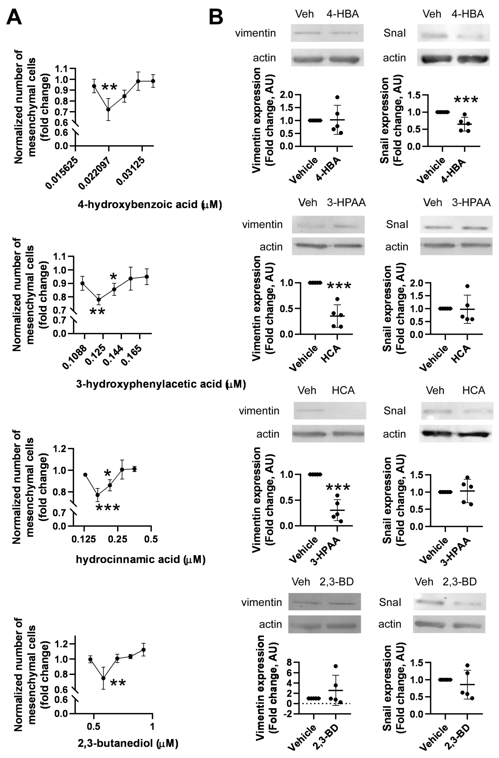 Molecules 28 05898 g005