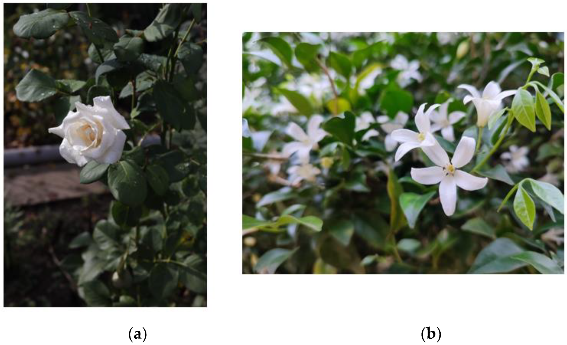 Molecules 28 05901 g002