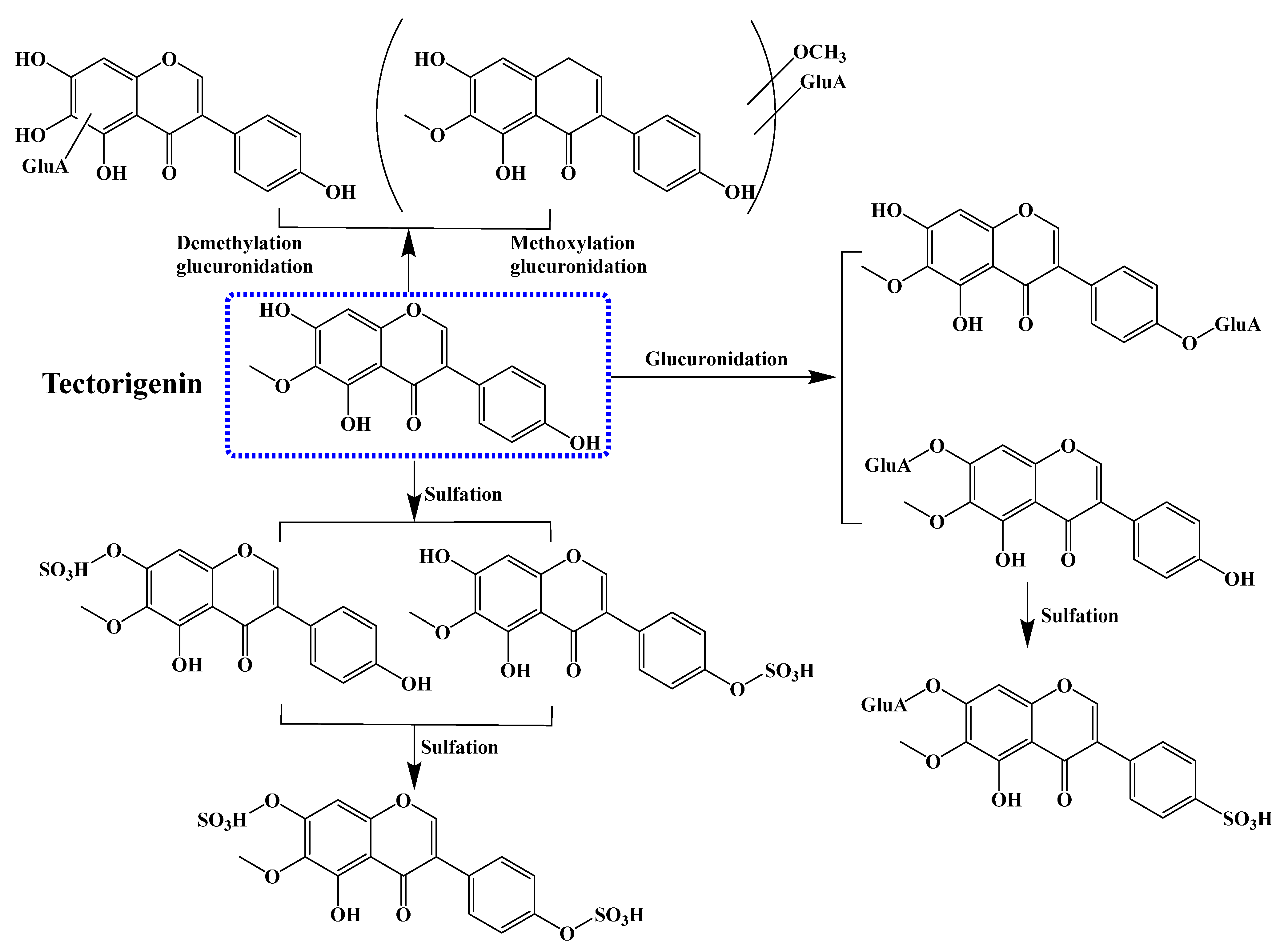Molecules 28 05904 g004