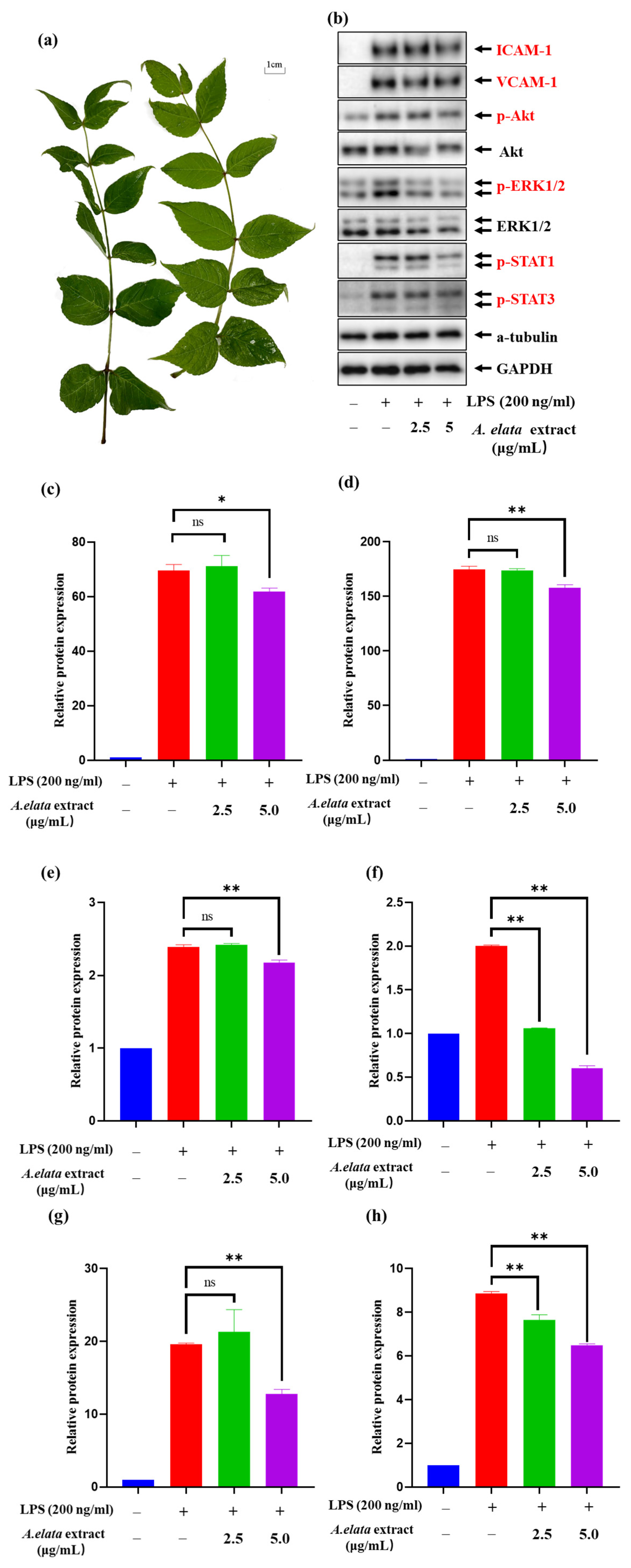 Molecules 28 05907 g002