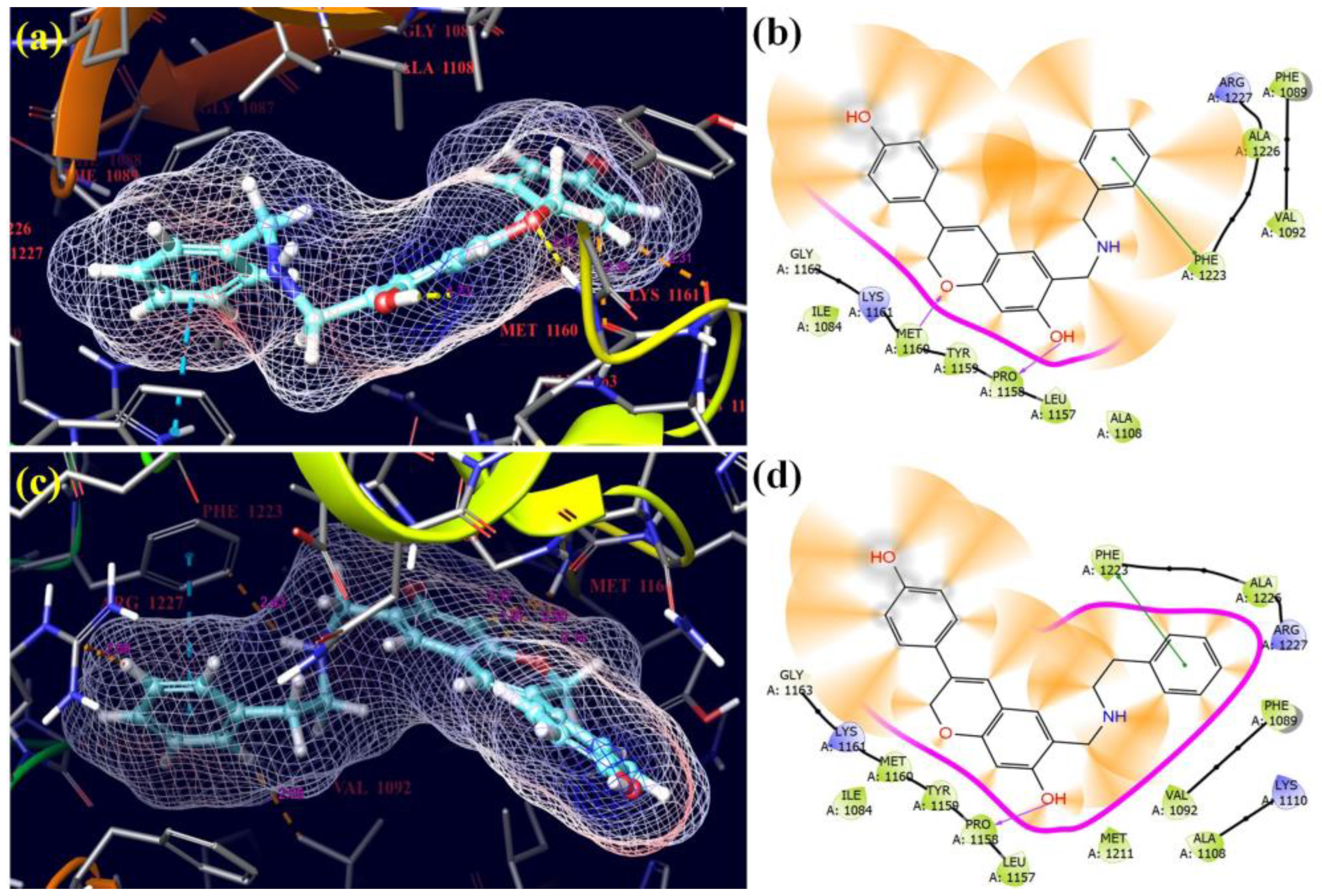 Molecules 28 05911 g015