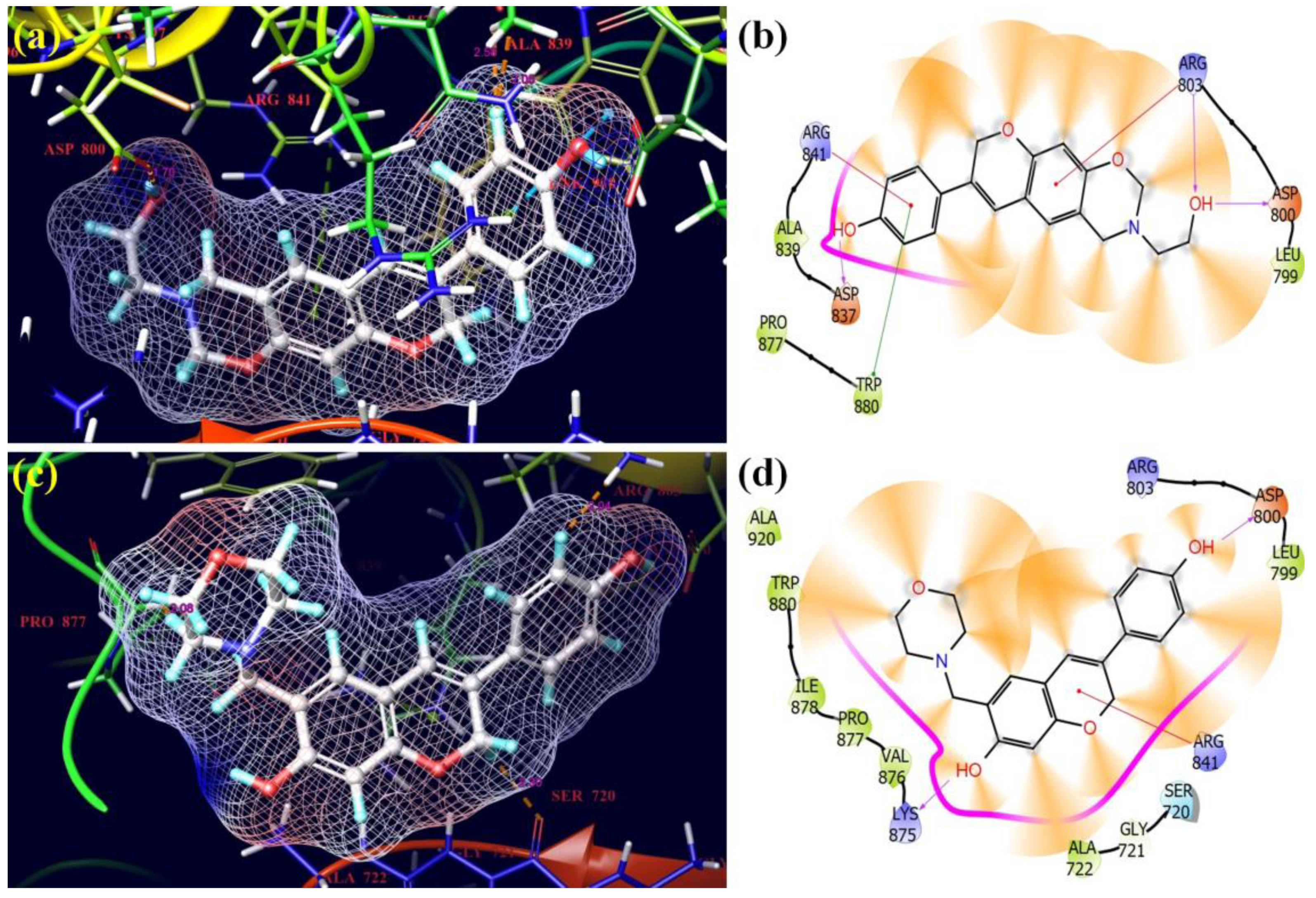 Molecules 28 05911 g017