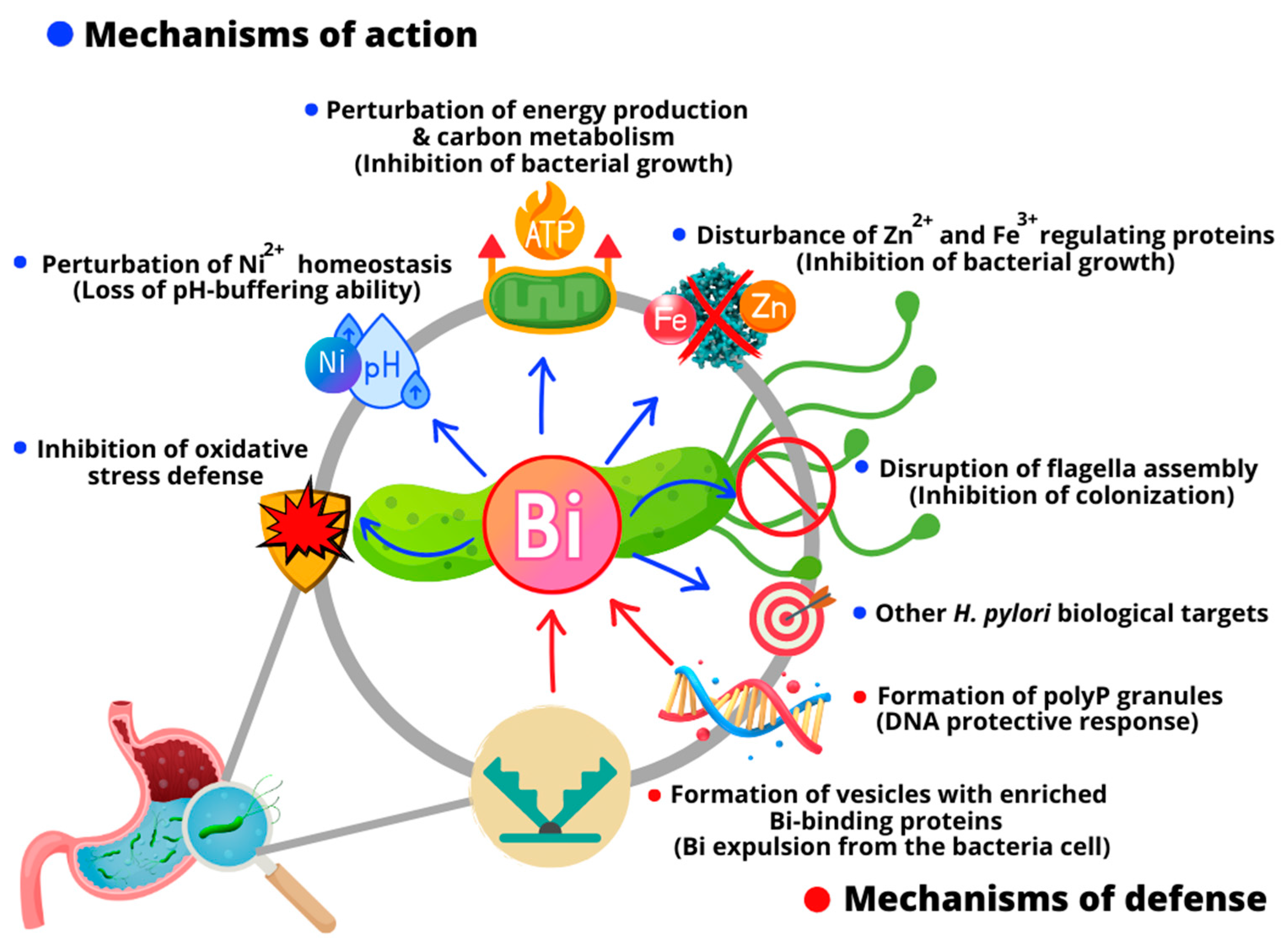 Molecules 28 05921 g002 Molecules 28 05921 g002