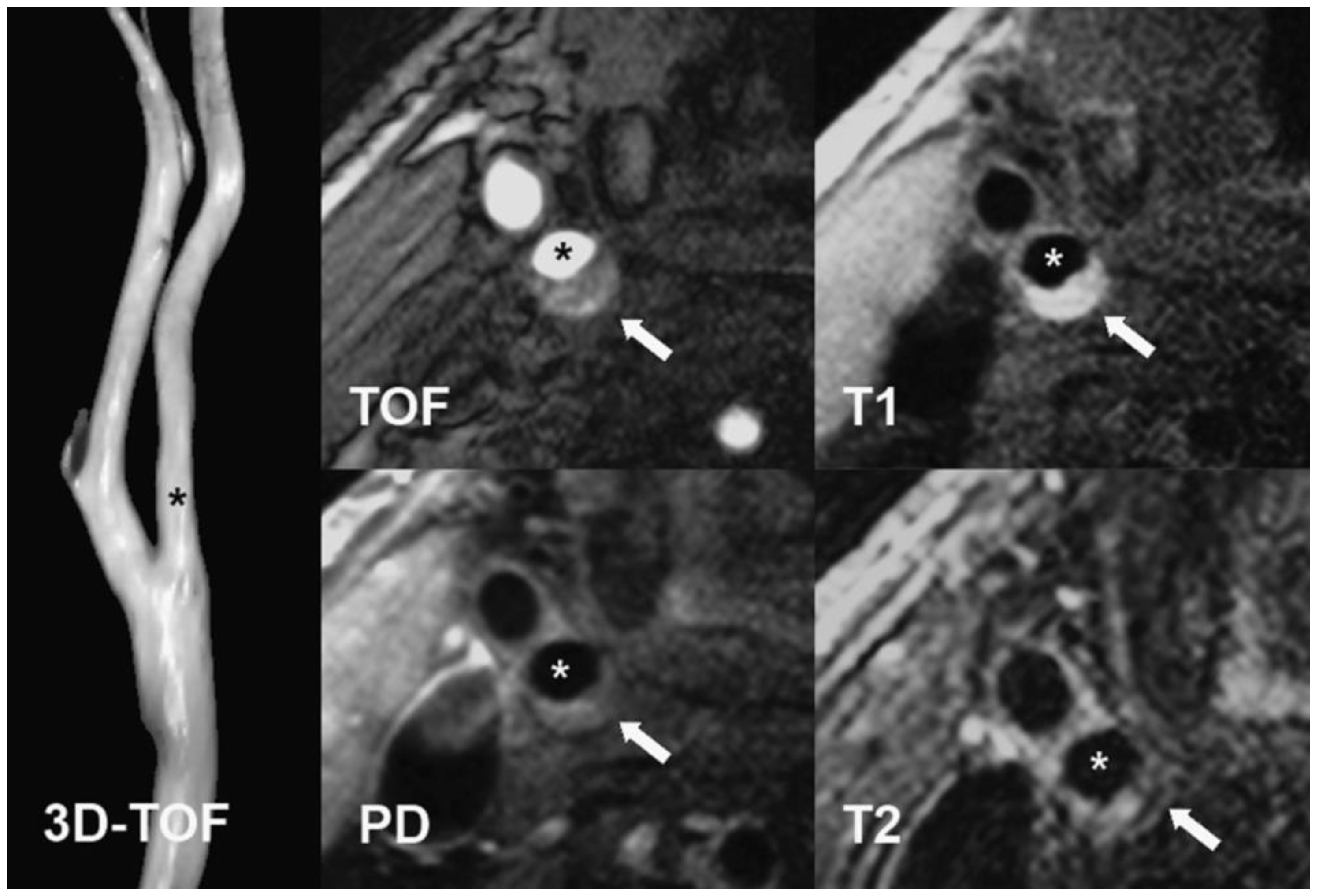 Molecules 28 05928 g004 Molecules 28 05928 g004