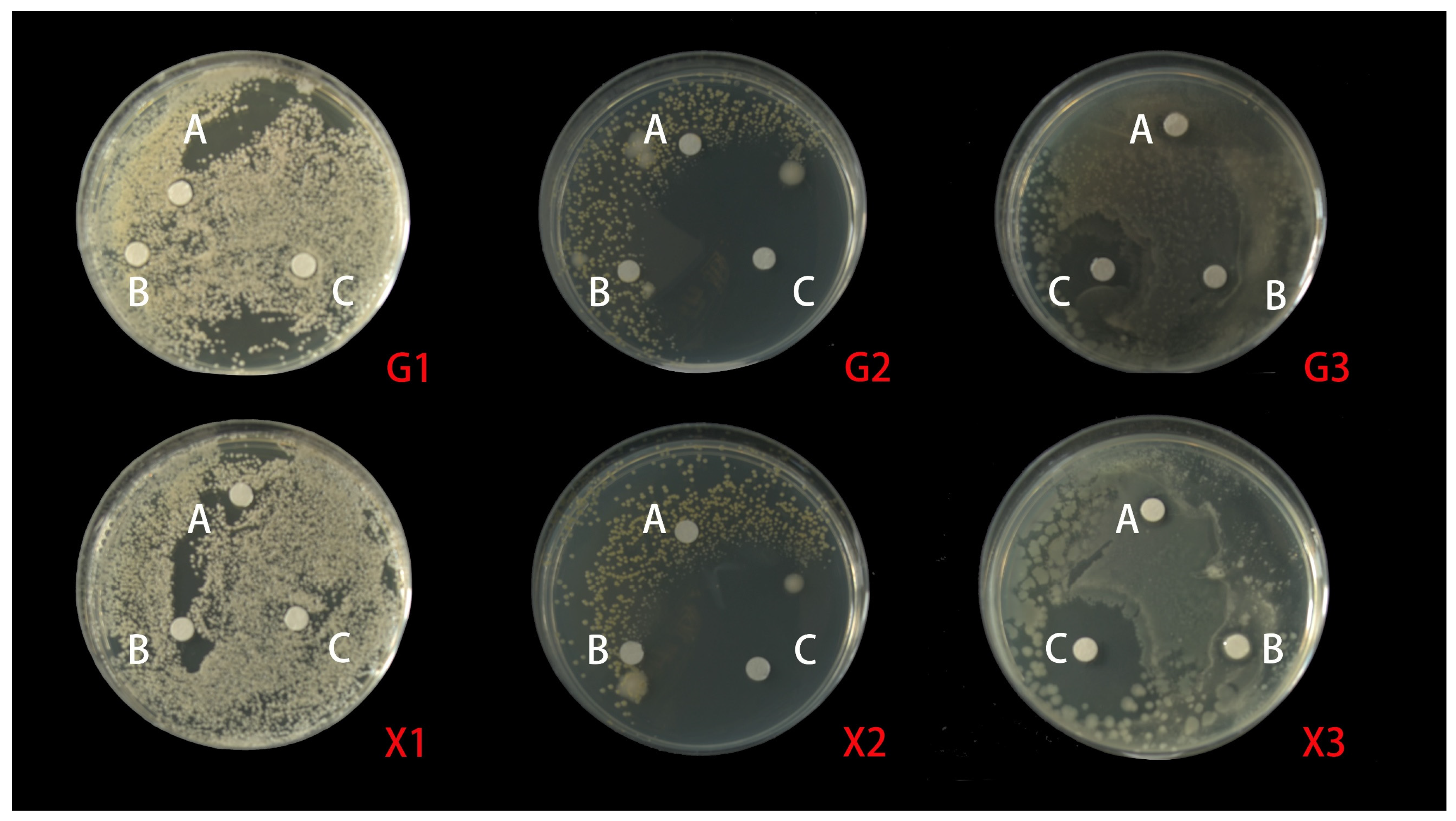 Molecules 28 05935 g004