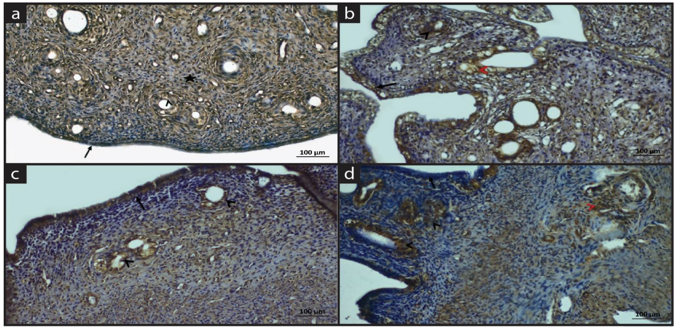 Molecules 28 05945 g004 Molecules 28 05945 g004