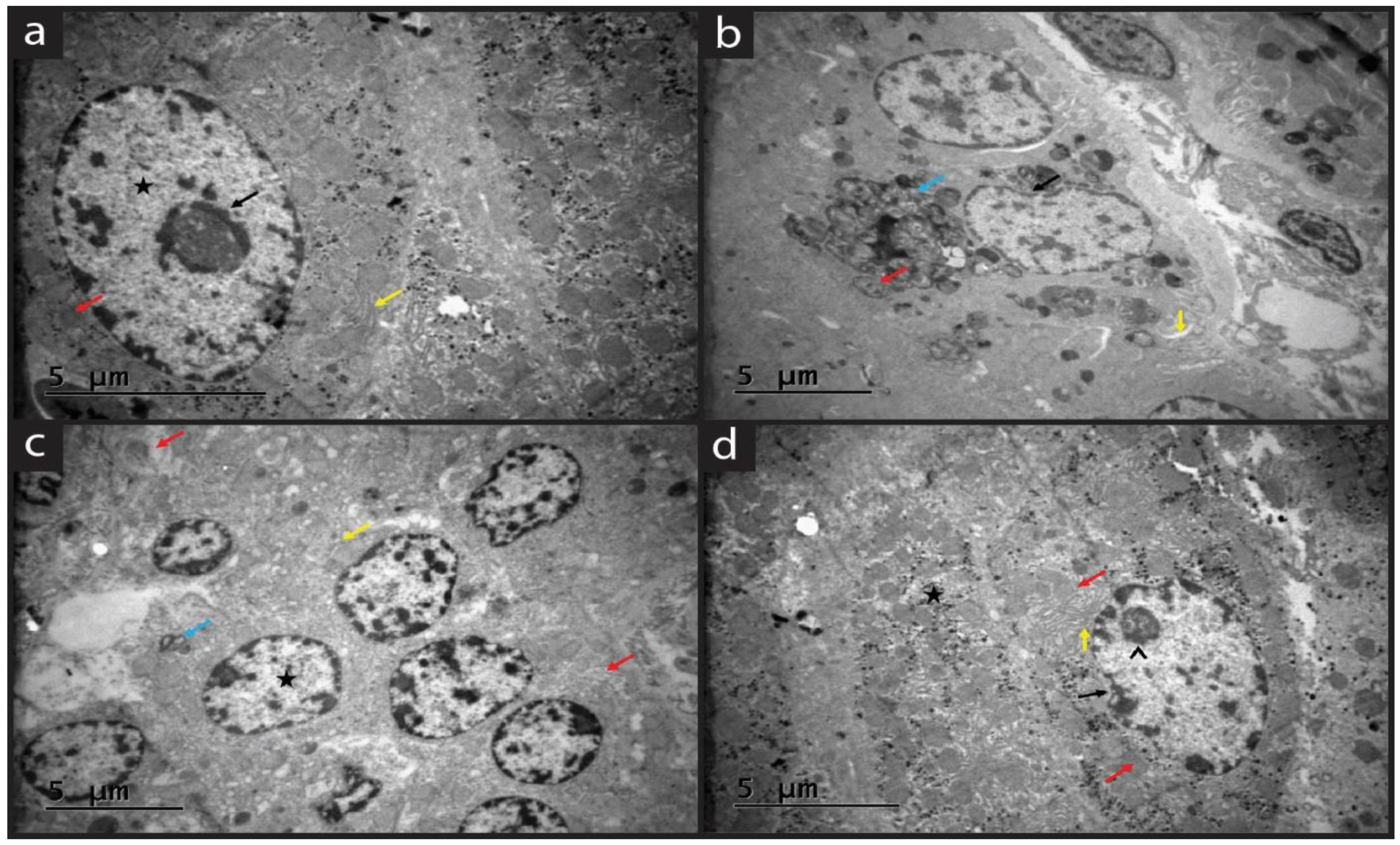 Molecules 28 05945 g005 Molecules 28 05945 g005