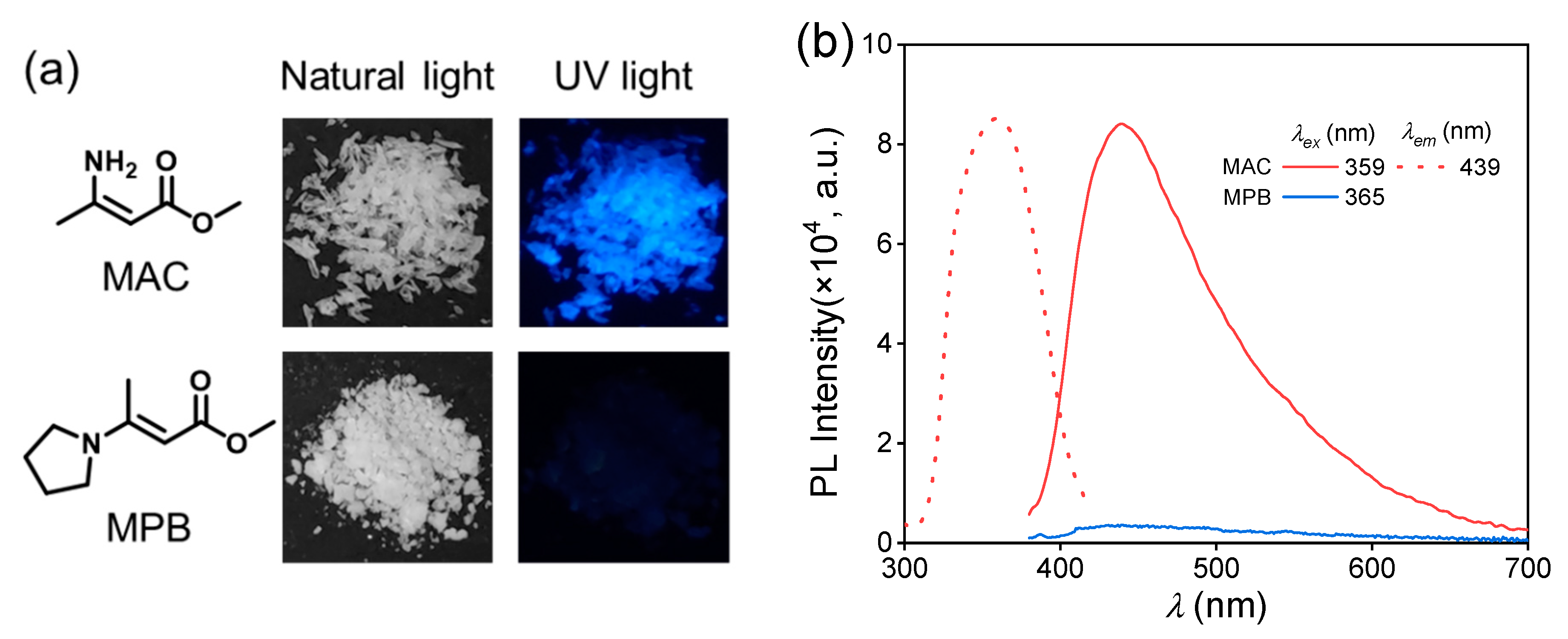 Molecules 28 05950 g001
