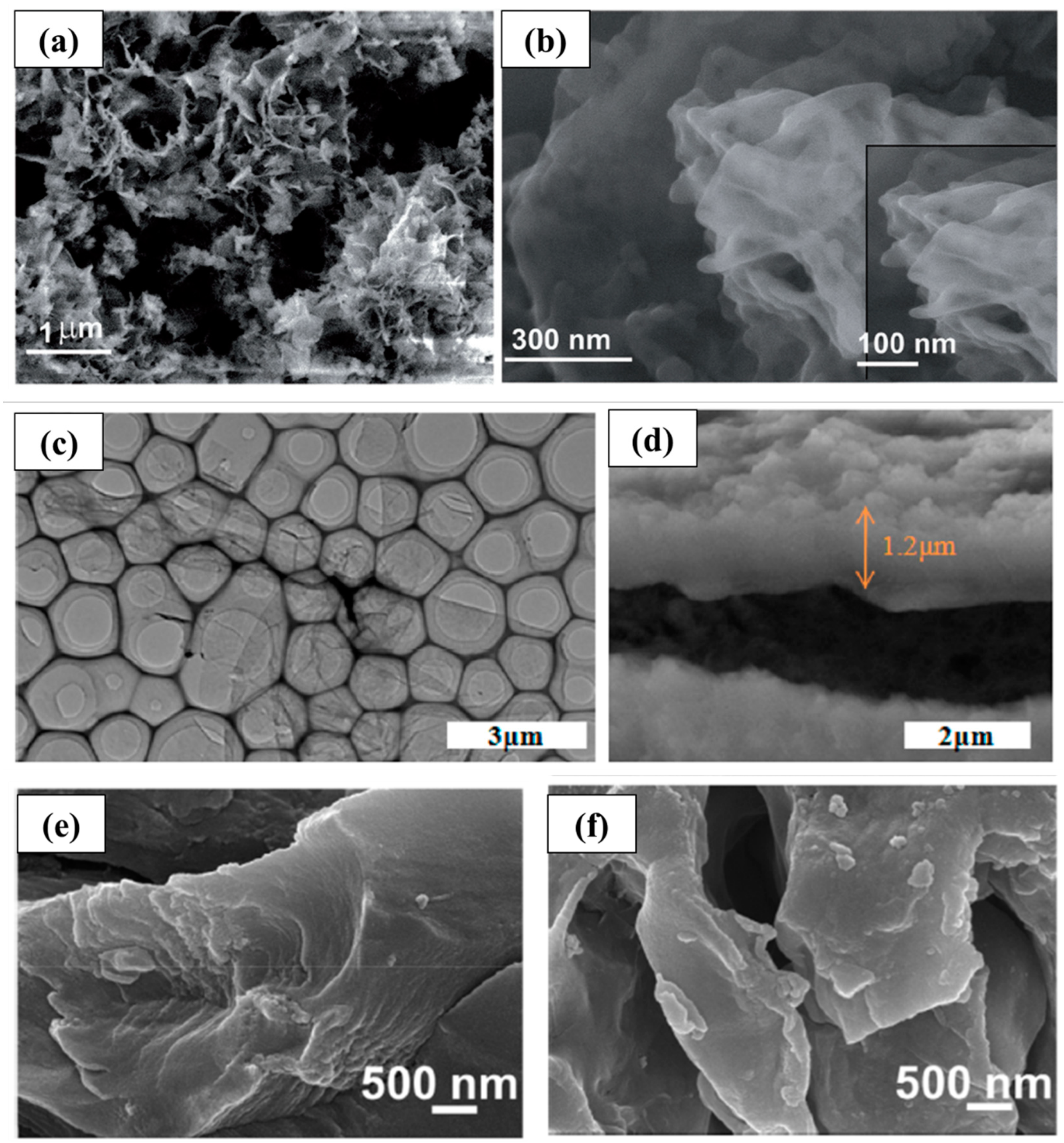 Molecules 28 05953 g002