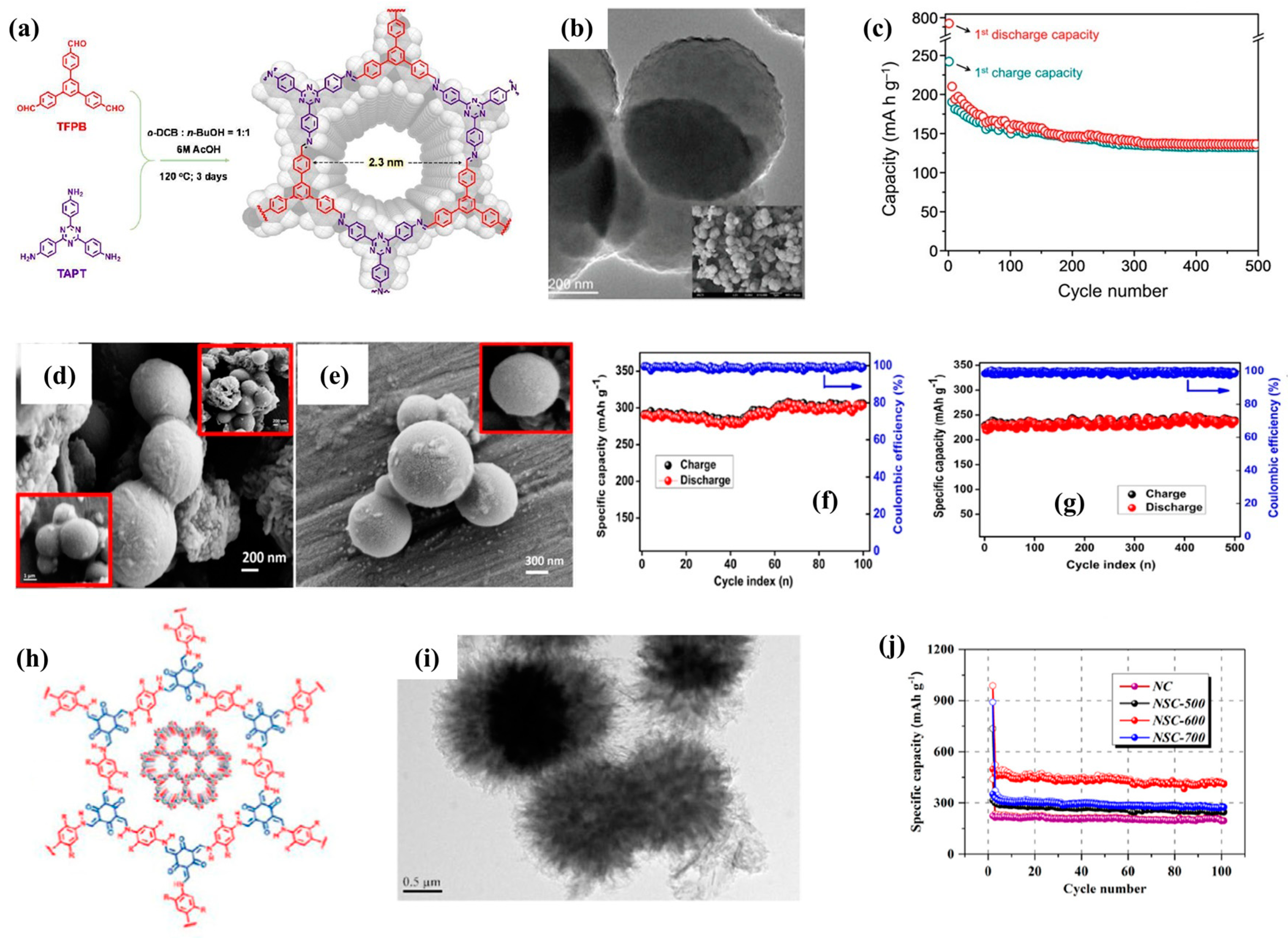 Molecules 28 05953 g007