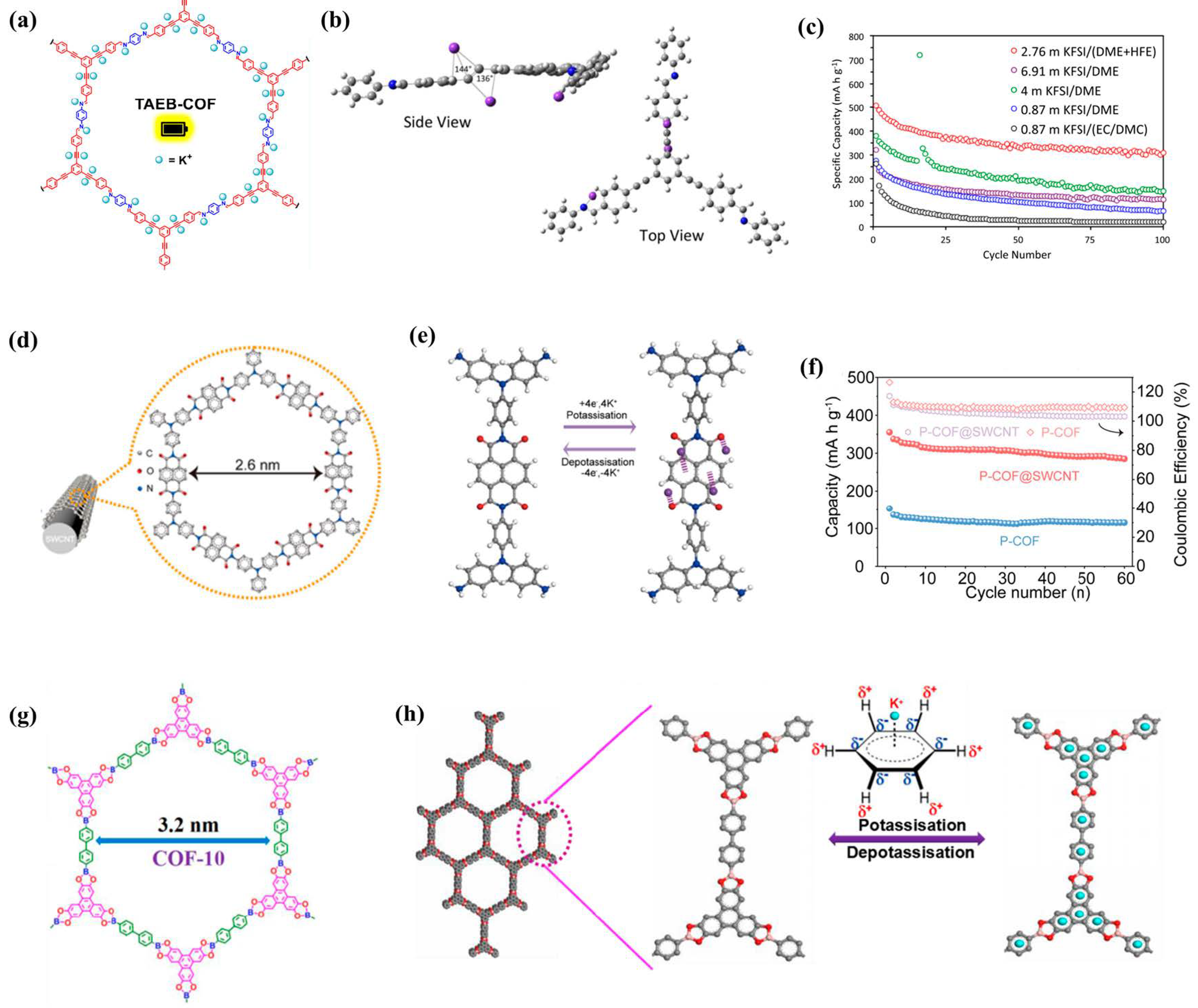 Molecules 28 05953 g008