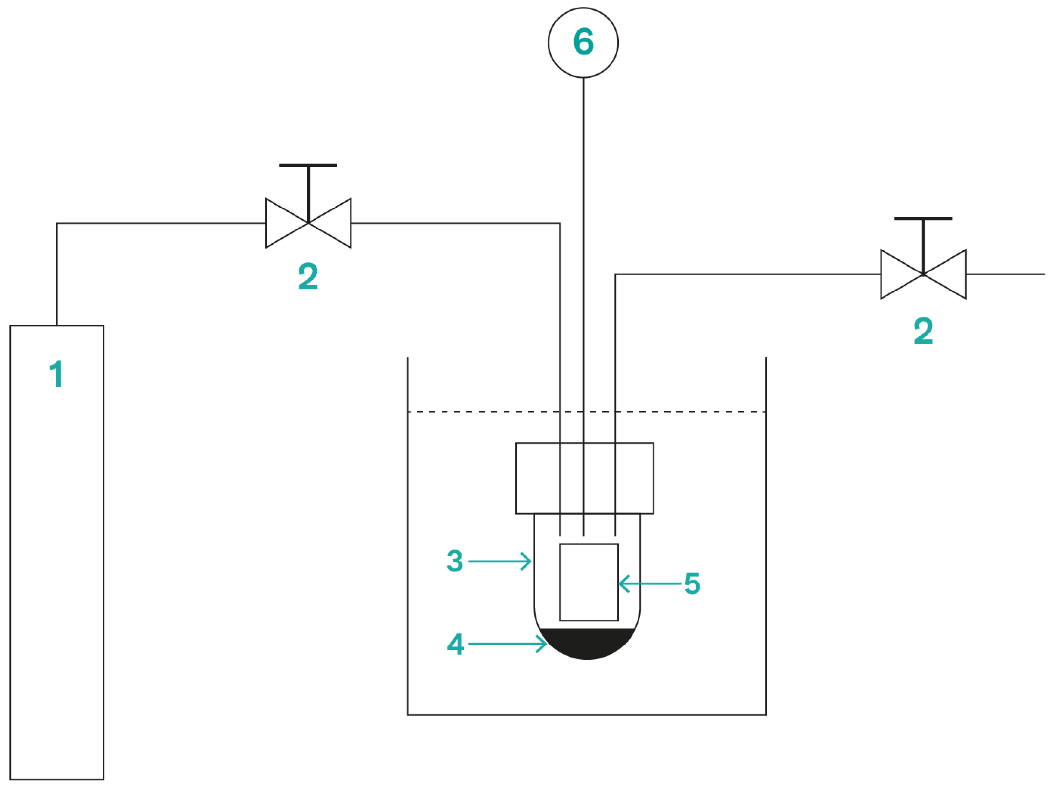 Molecules 28 05954 g002
